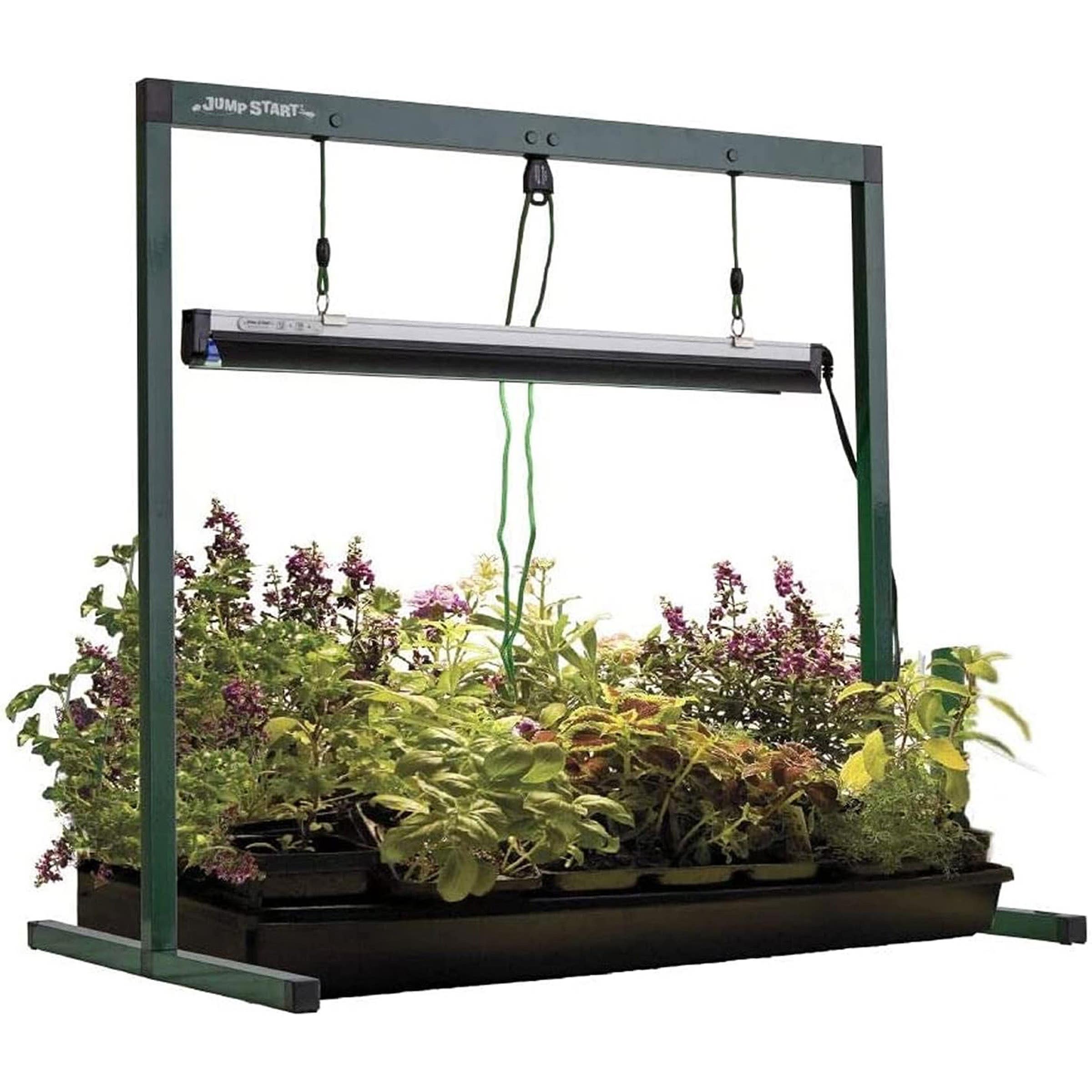Jump Start Grow Light System with Timer, 120 V, 6400 K Color Temp