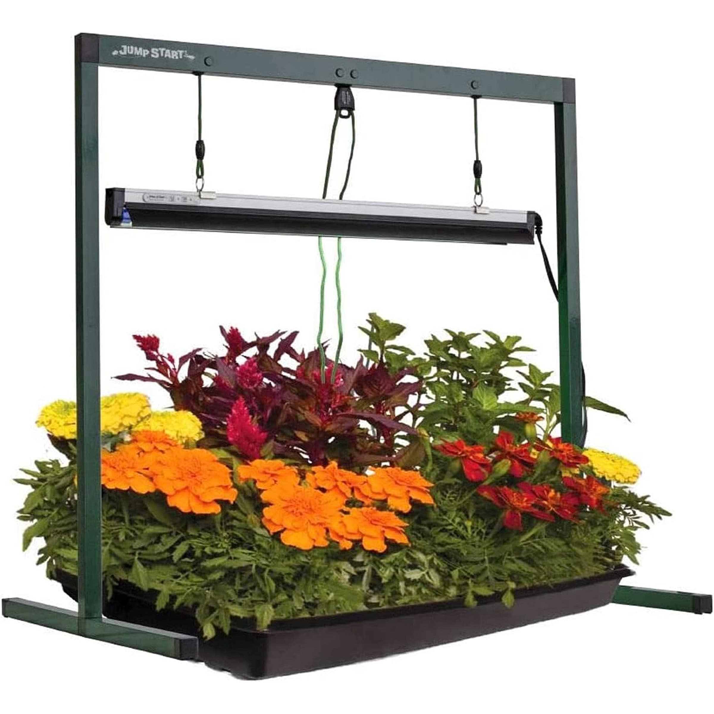 Jump Start Grow Light System with Timer, 120 V, 6400 K Color Temp