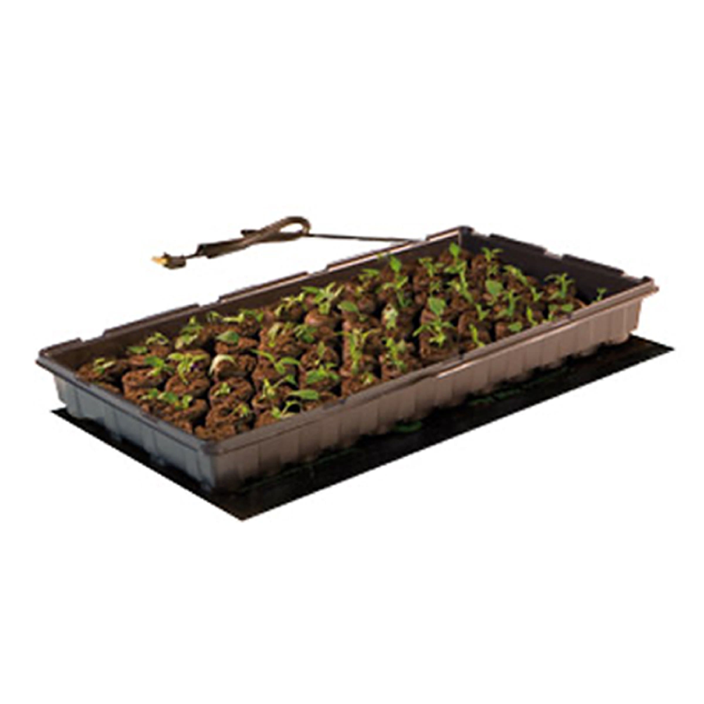 Jump Start Seedling Heat Mat, 19-1/2 in L, 8-7/8 in W, 120 V