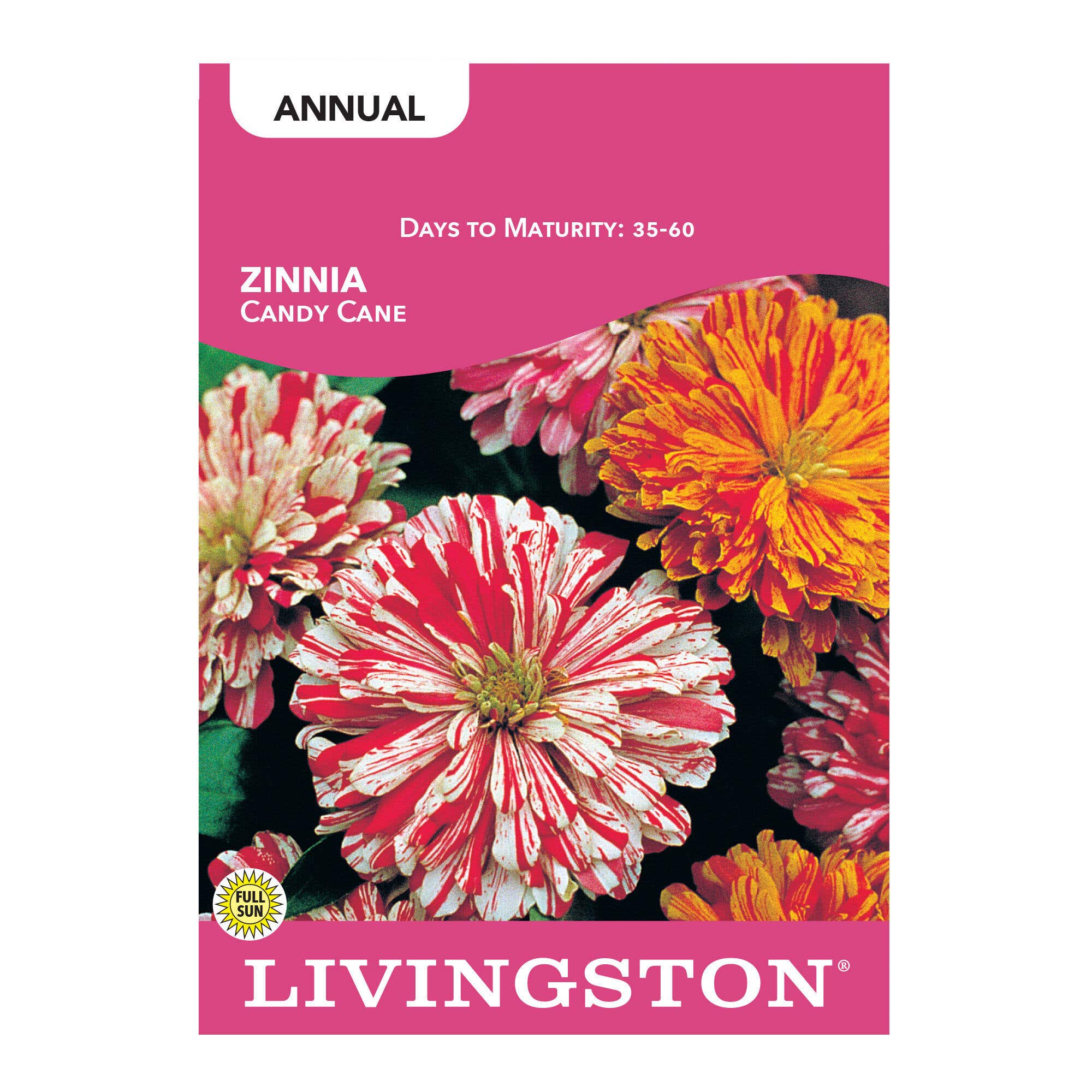 Livinsgton Seed Zinnia Candy Cane