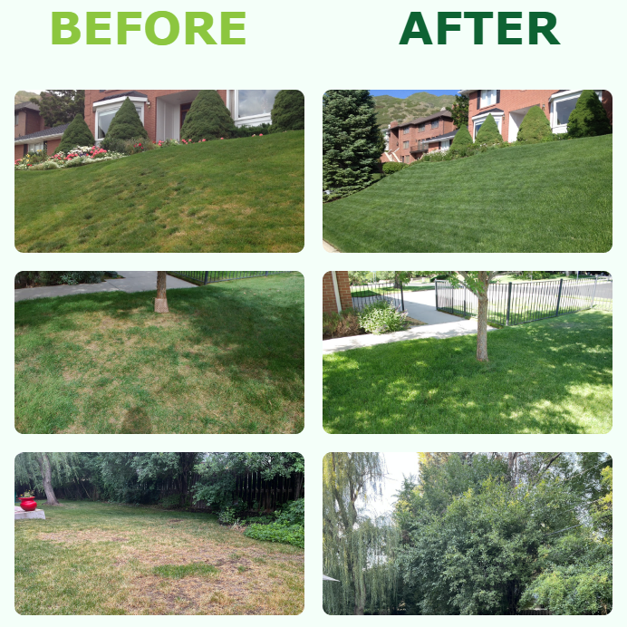 LawnSaver Lawn Treatment Granules 35 lb Bag