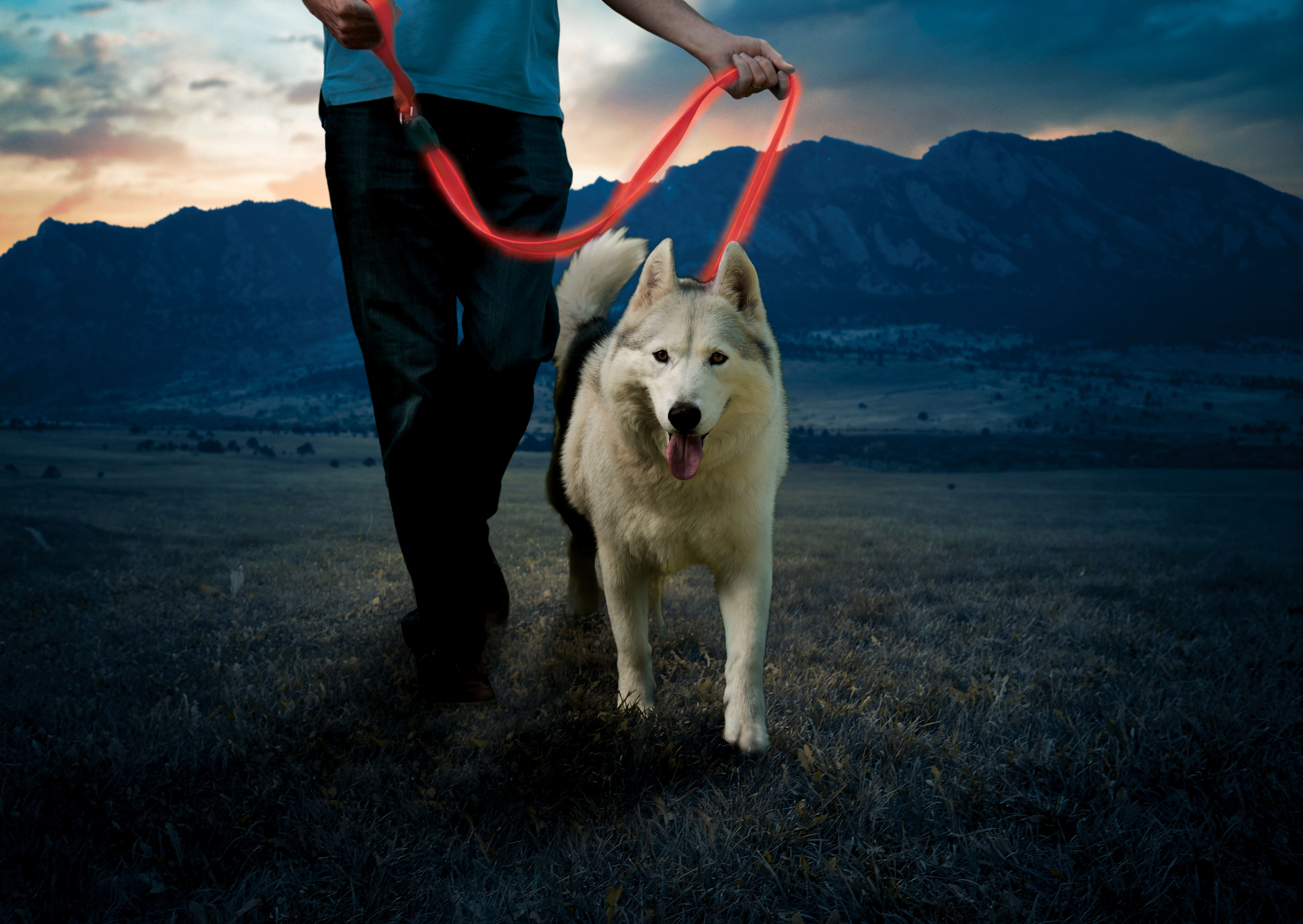 Nite Ize NiteDog Rechargeable LED Leash, Red