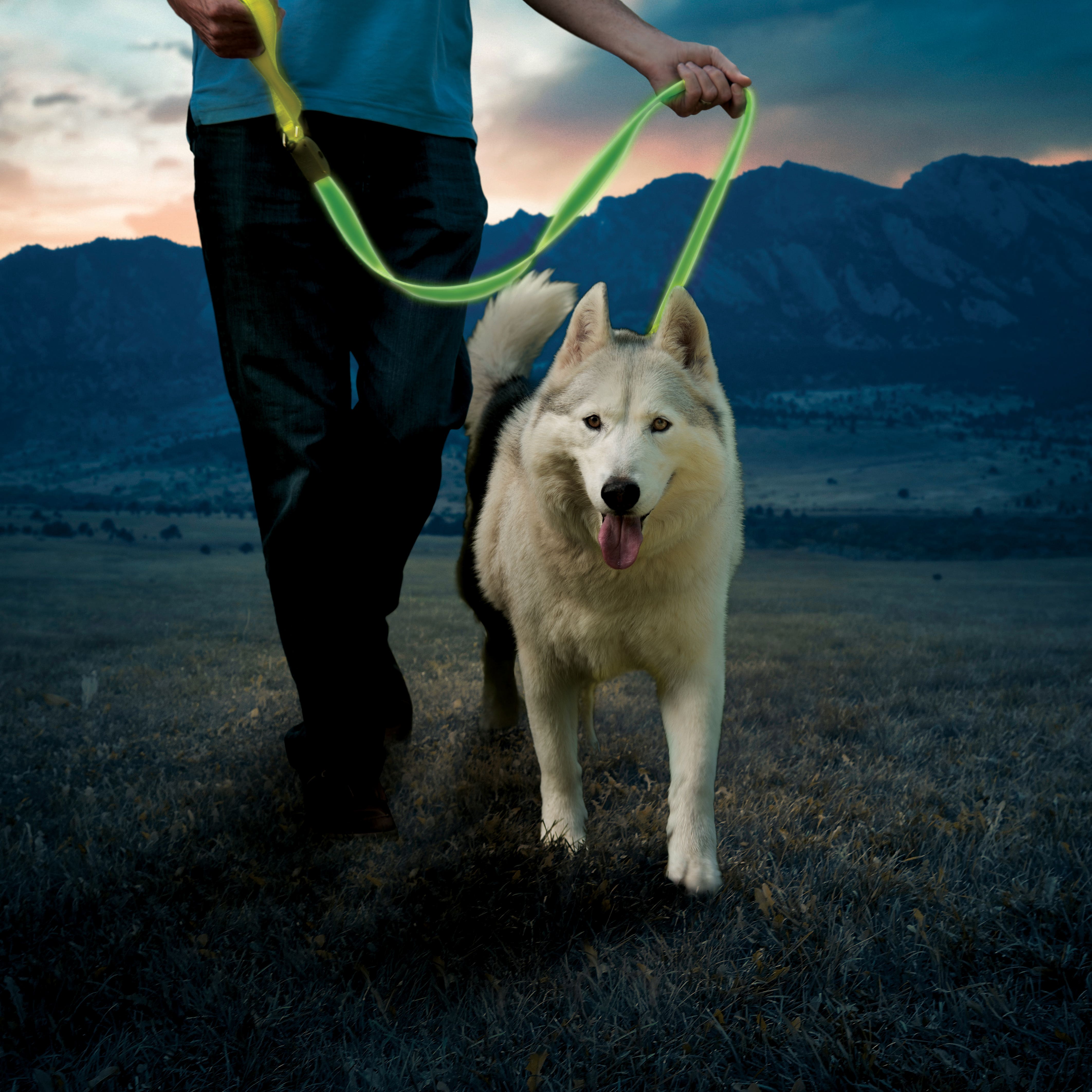 Nite Ize NiteDog Rechargeable LED Leash, Green