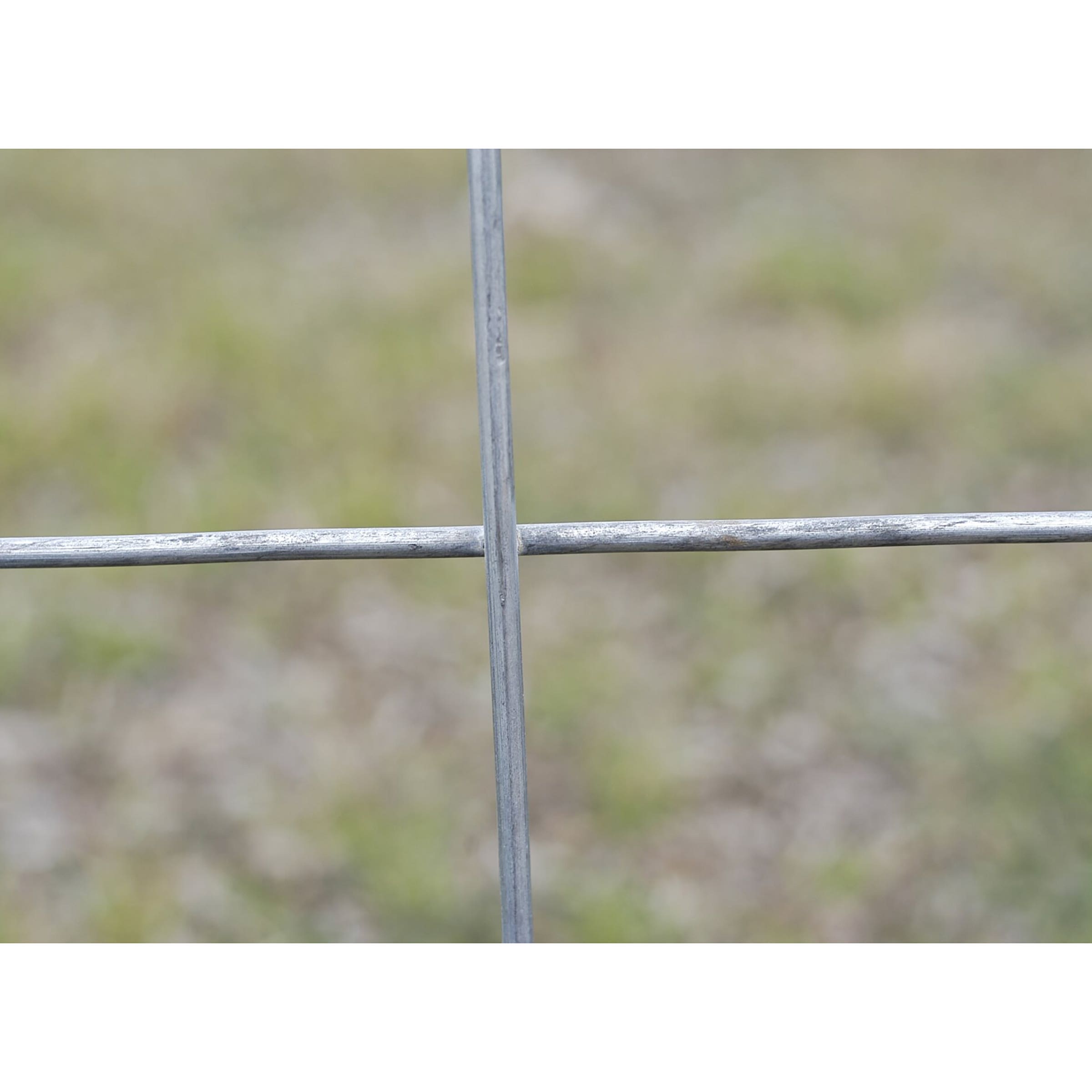 OK Brand MAX Cattle Panel, 8 ft x 50 in