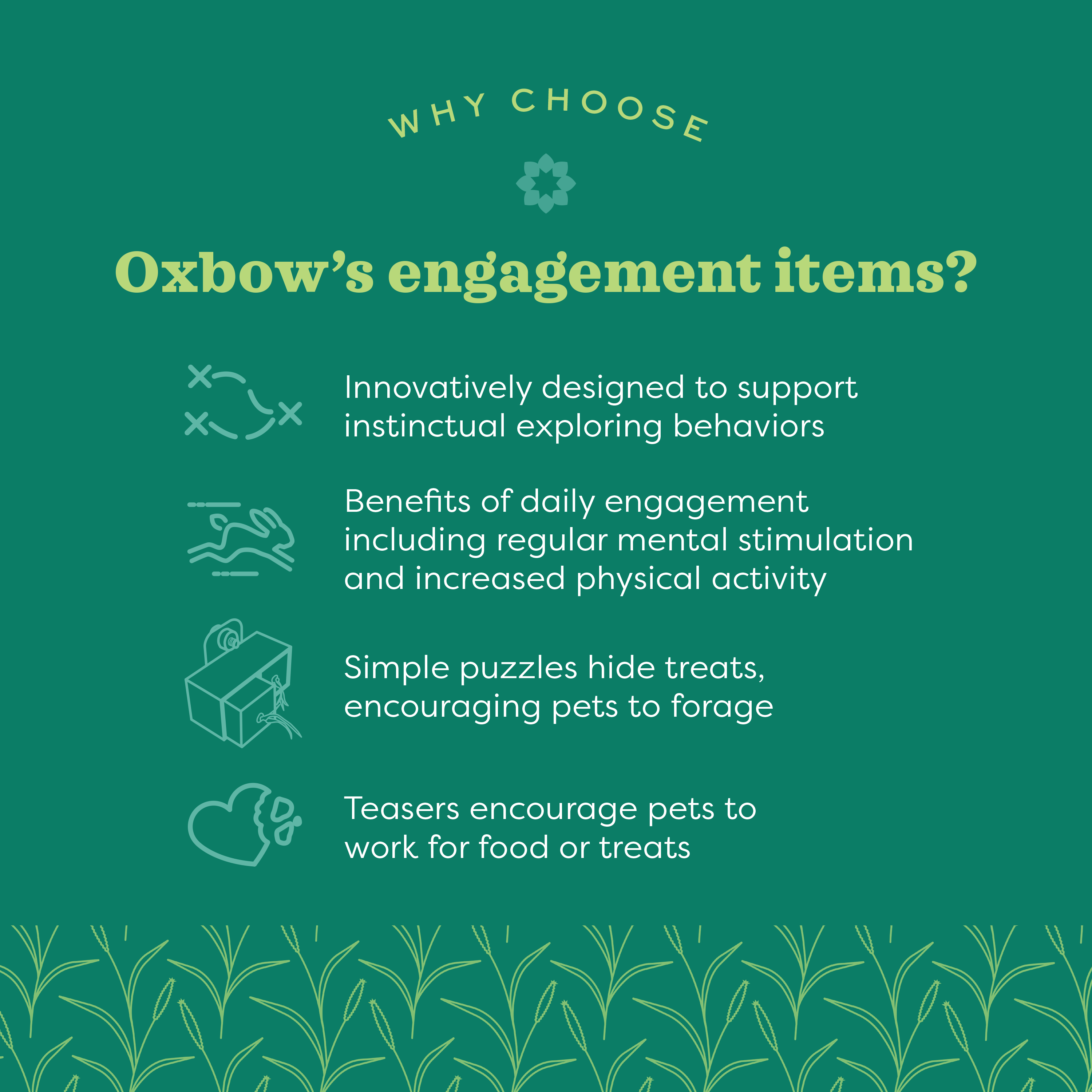 Oxbow Enriched Life Hide Box Hanger Chew