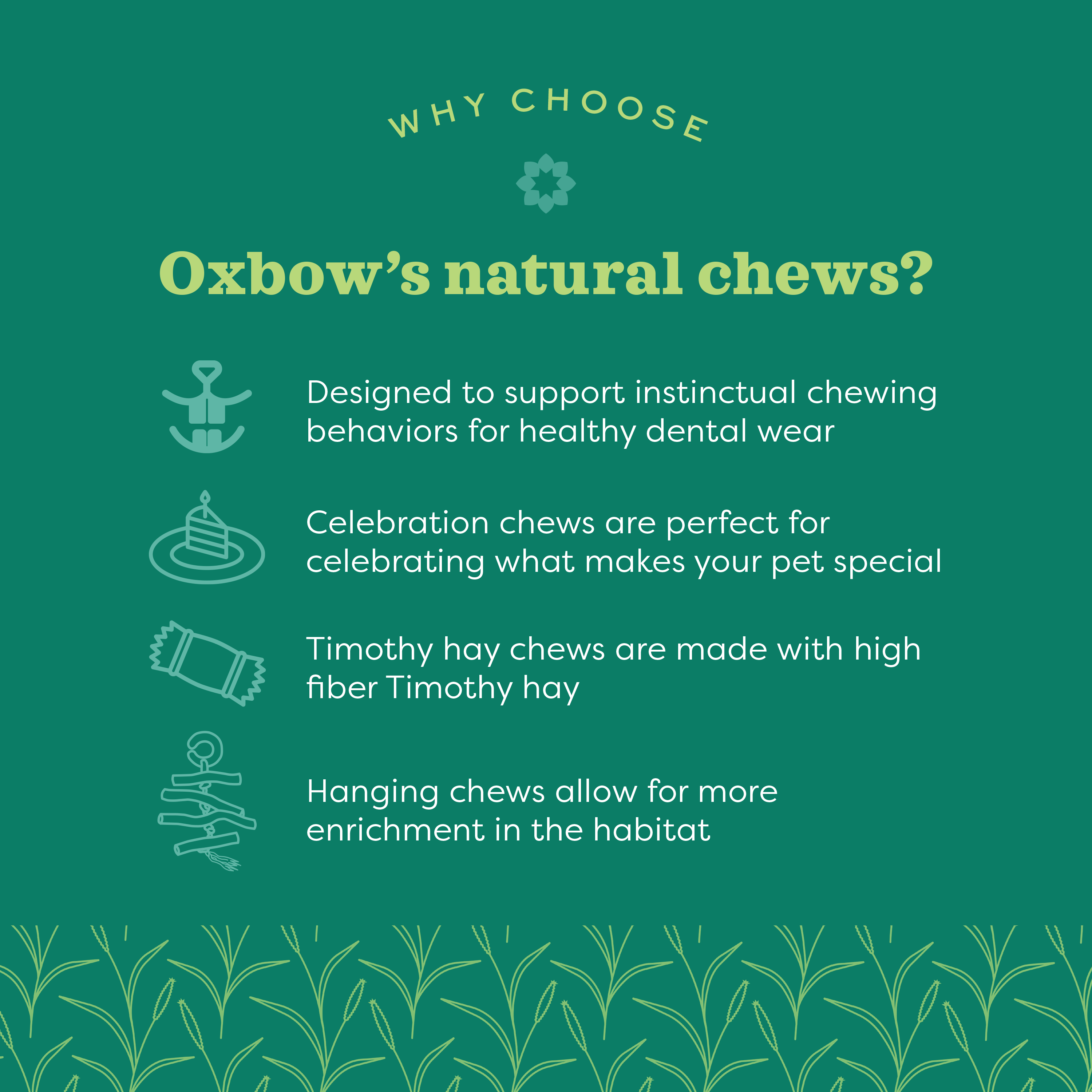 Oxbow Enriched Life Timmy Pops for Chinchillas, Mice, Rabbits, Rats