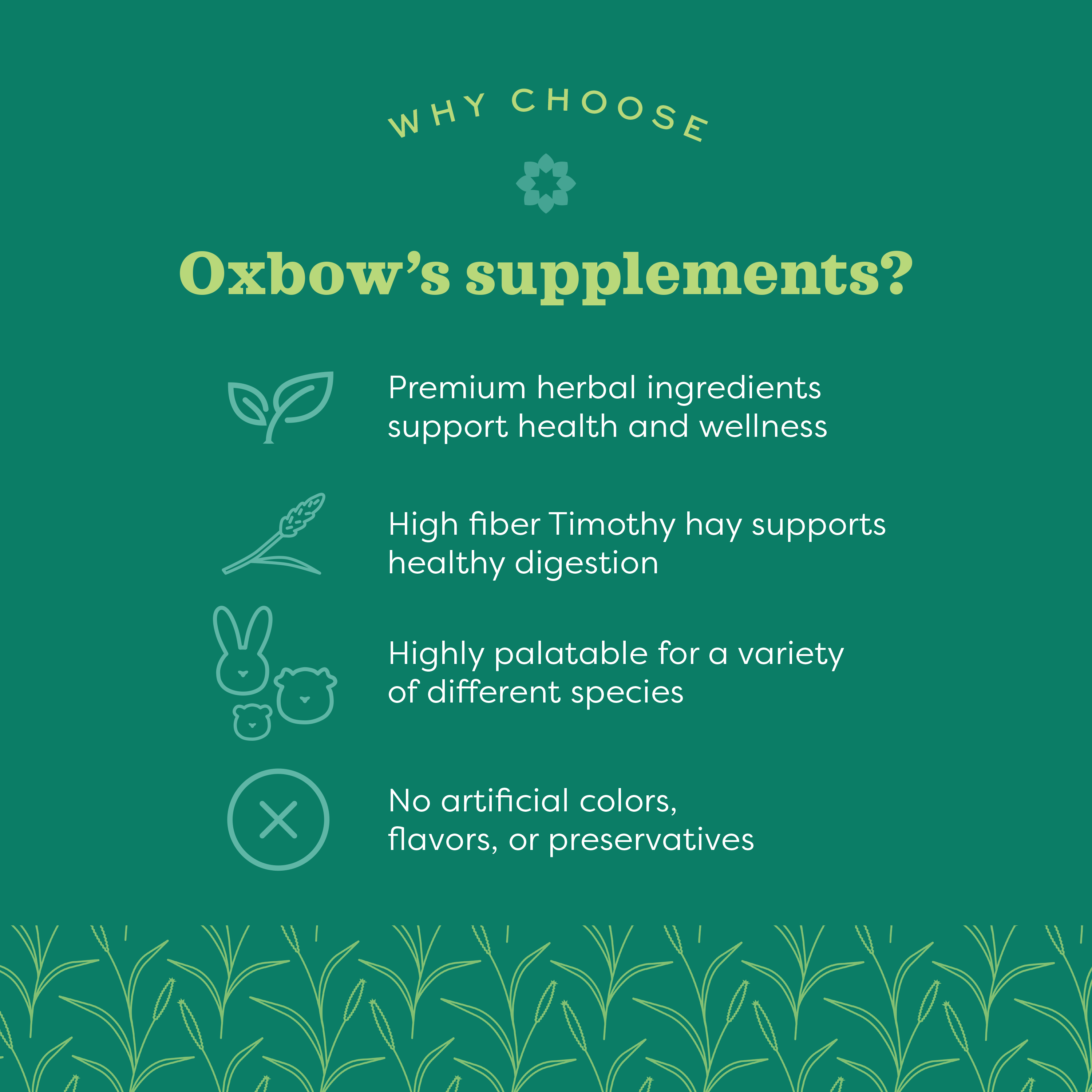 Oxbow Natural Science Vitamin C Supplement, 60