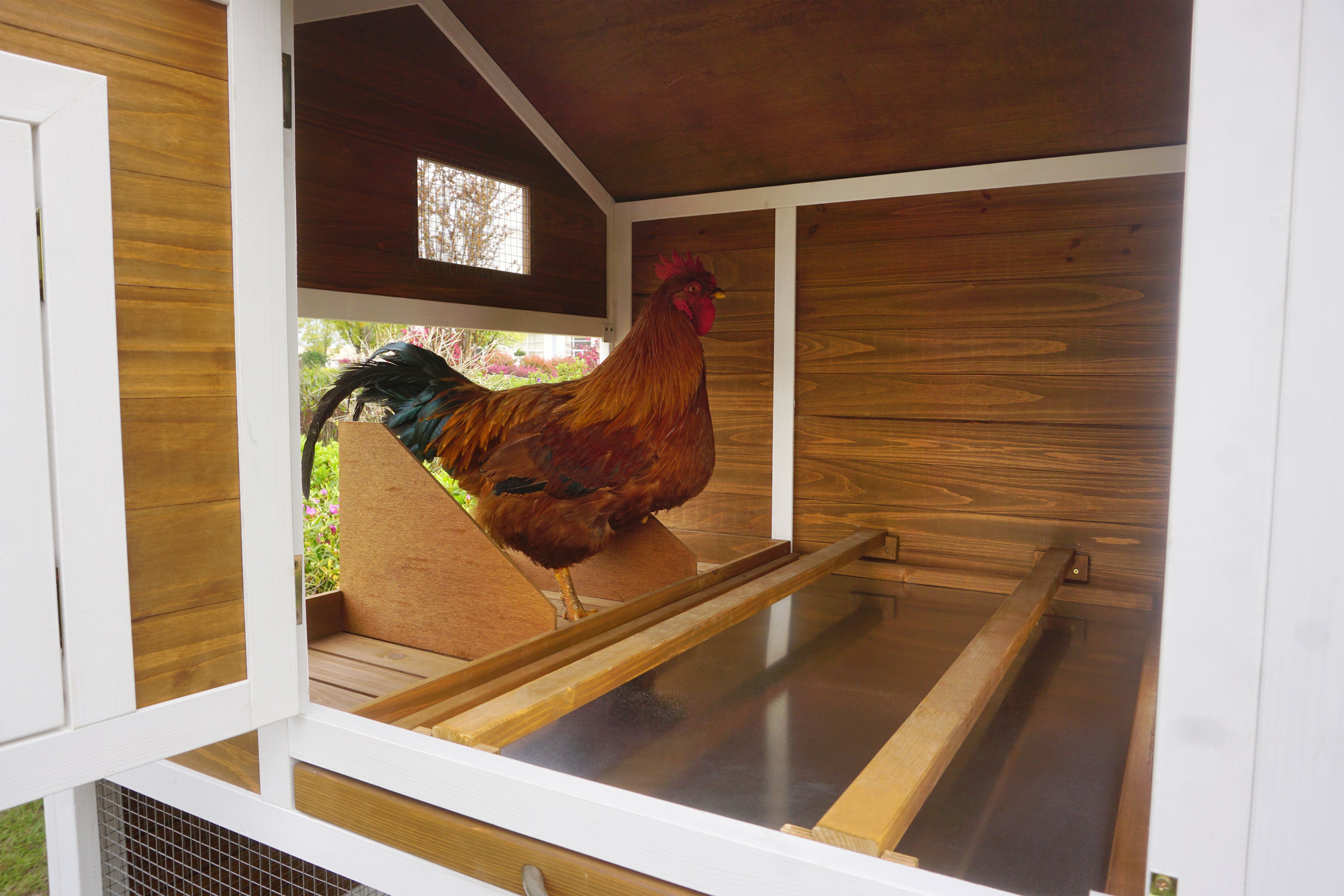 Zoovilla Farmstead Chicken Coop