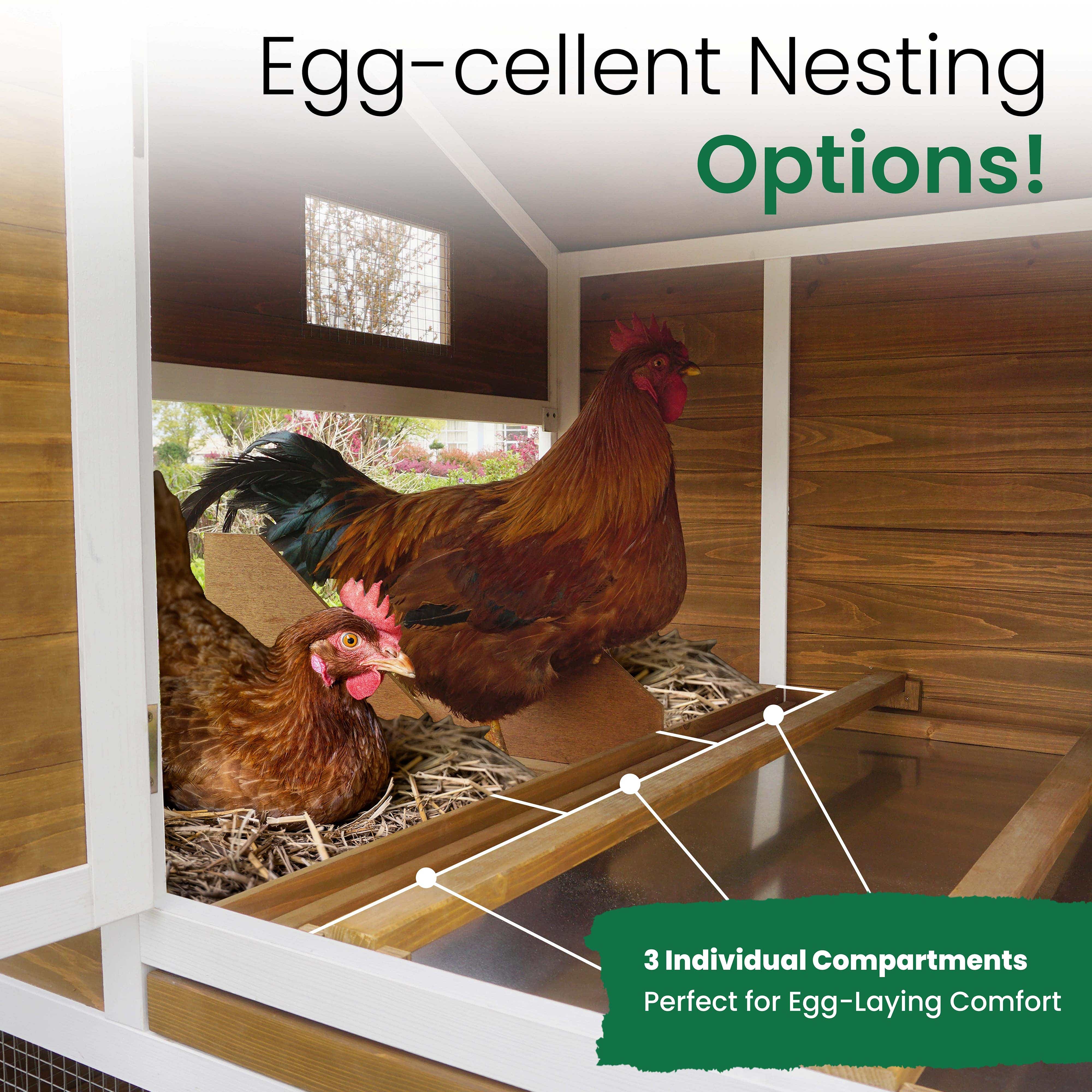 Merry Products IFA Premium Chicken Coop, Farmstead, 2 Boxes