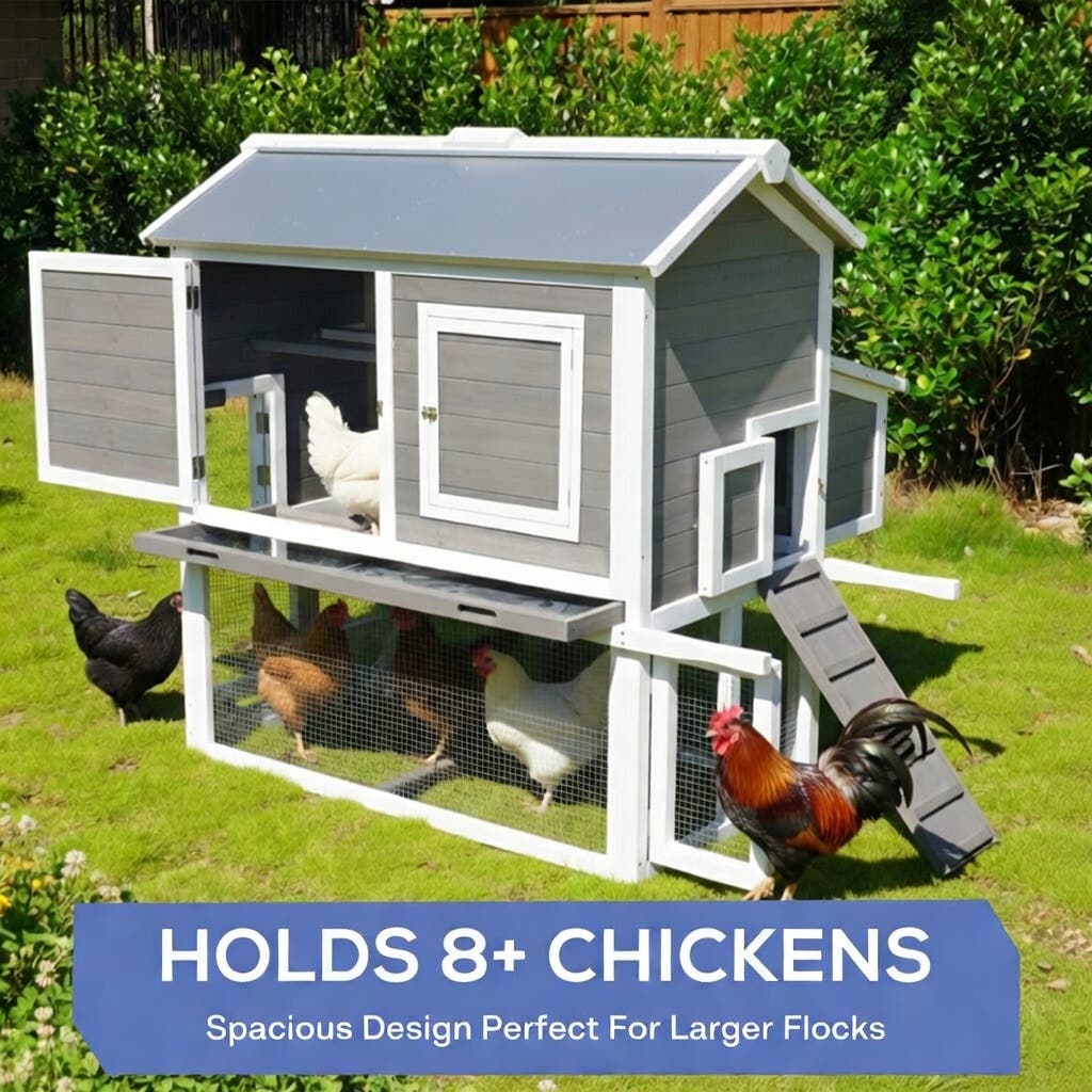 Merry Products IFA Premium Chicken Coop, Bunkie Style, 1 Box