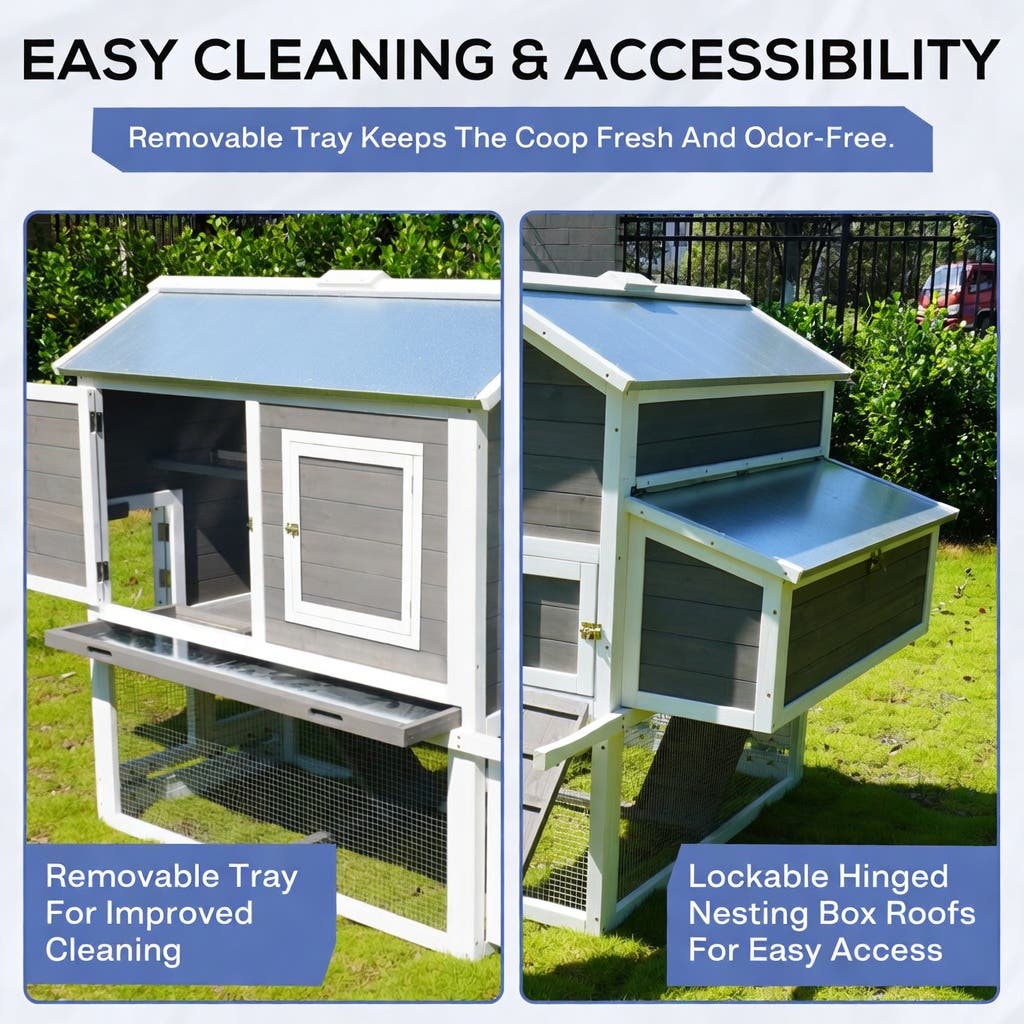 Merry Products IFA Premium Chicken Coop, Bunkie Style, 1 Box