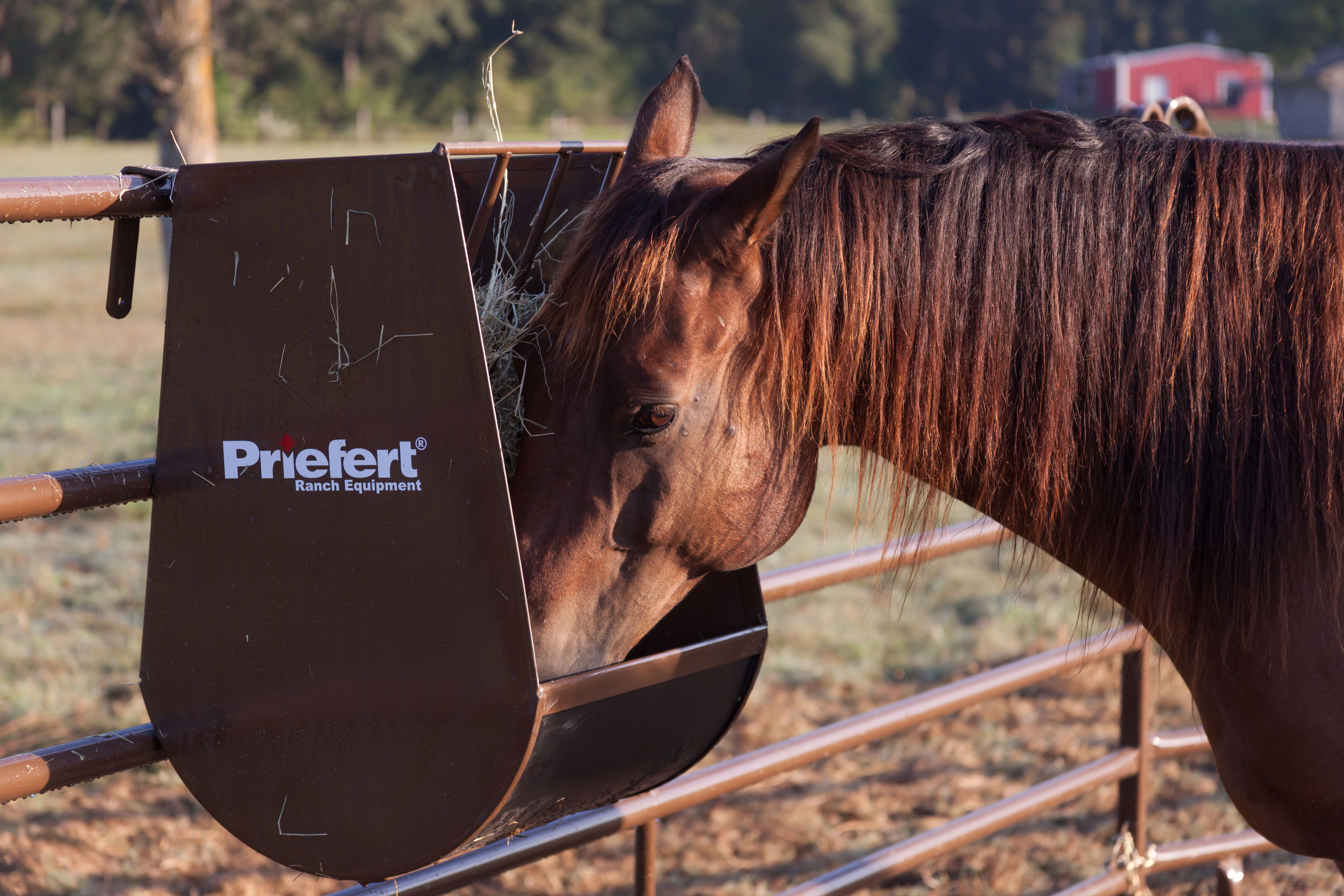Priefert Hay & Grain Feeder
