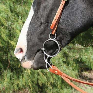 Professional's Choice Equisential Wonder Bit, 5-1/4 in Mouth, Stainless Steel