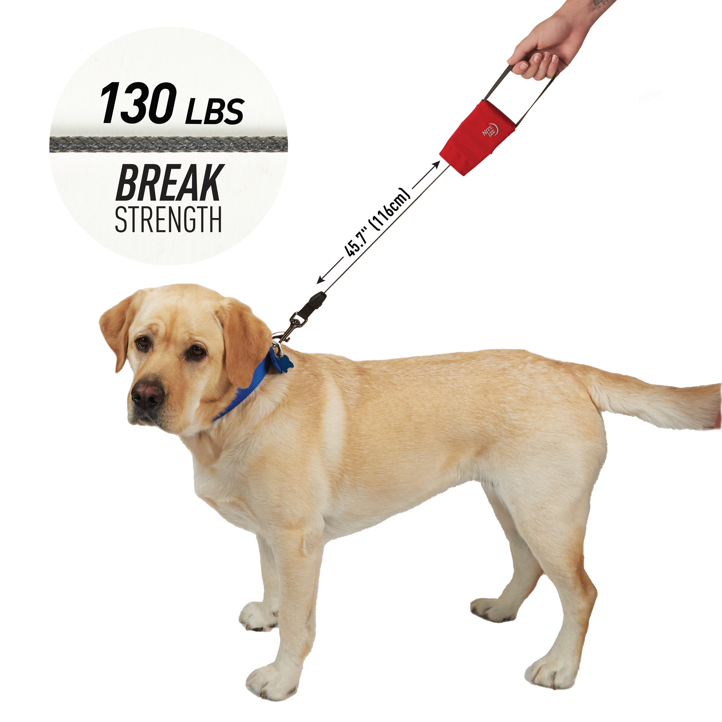 Nite Ize RadDog Retractable Pocket Leash, Large