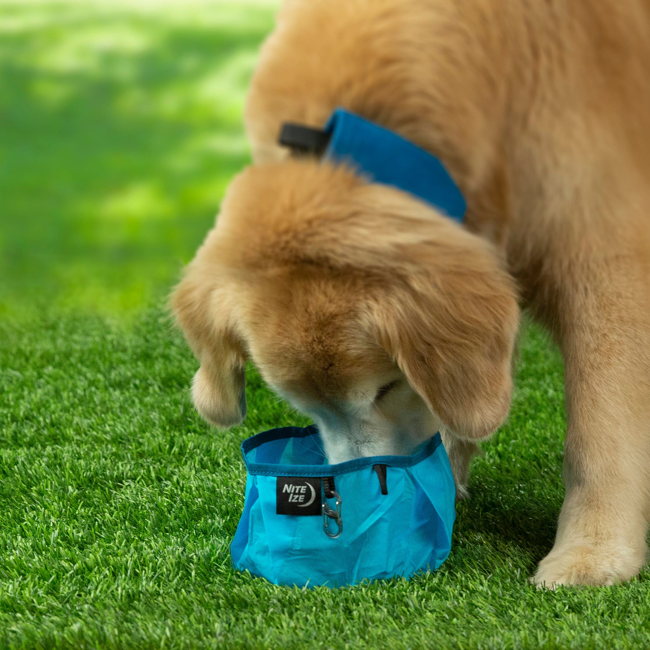 Nite Ize RadDog Collapsible Bowl, Blue
