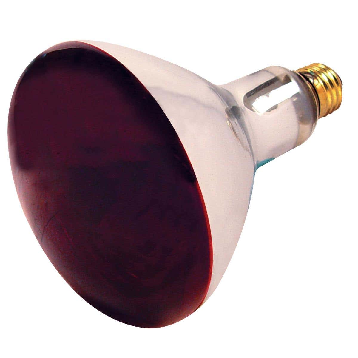 250W Incandescent Red Heat Lamp Bulb, Dimmable