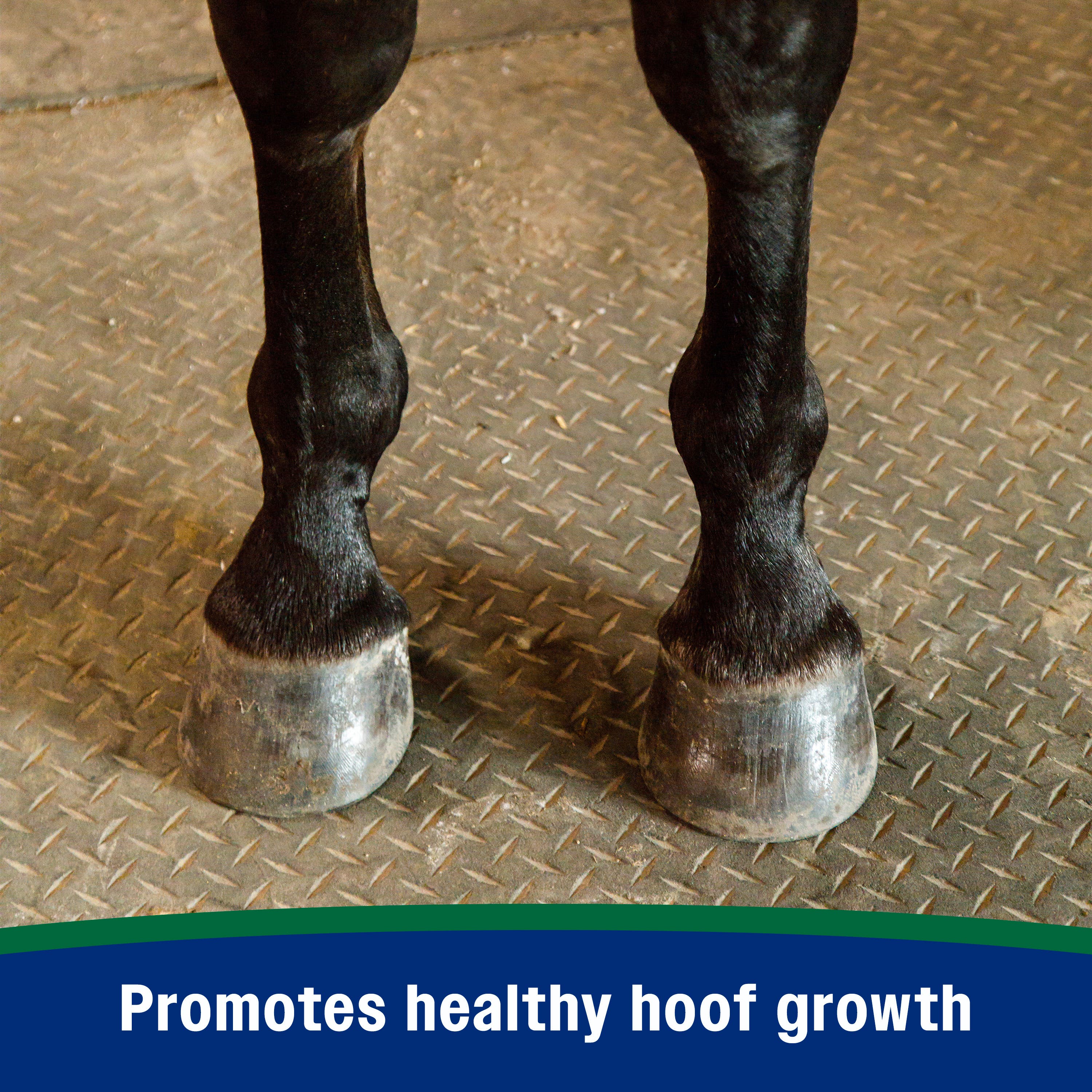 Farnam Horseshoer’s Secret Pelleted Hoof Supplement 11 lb