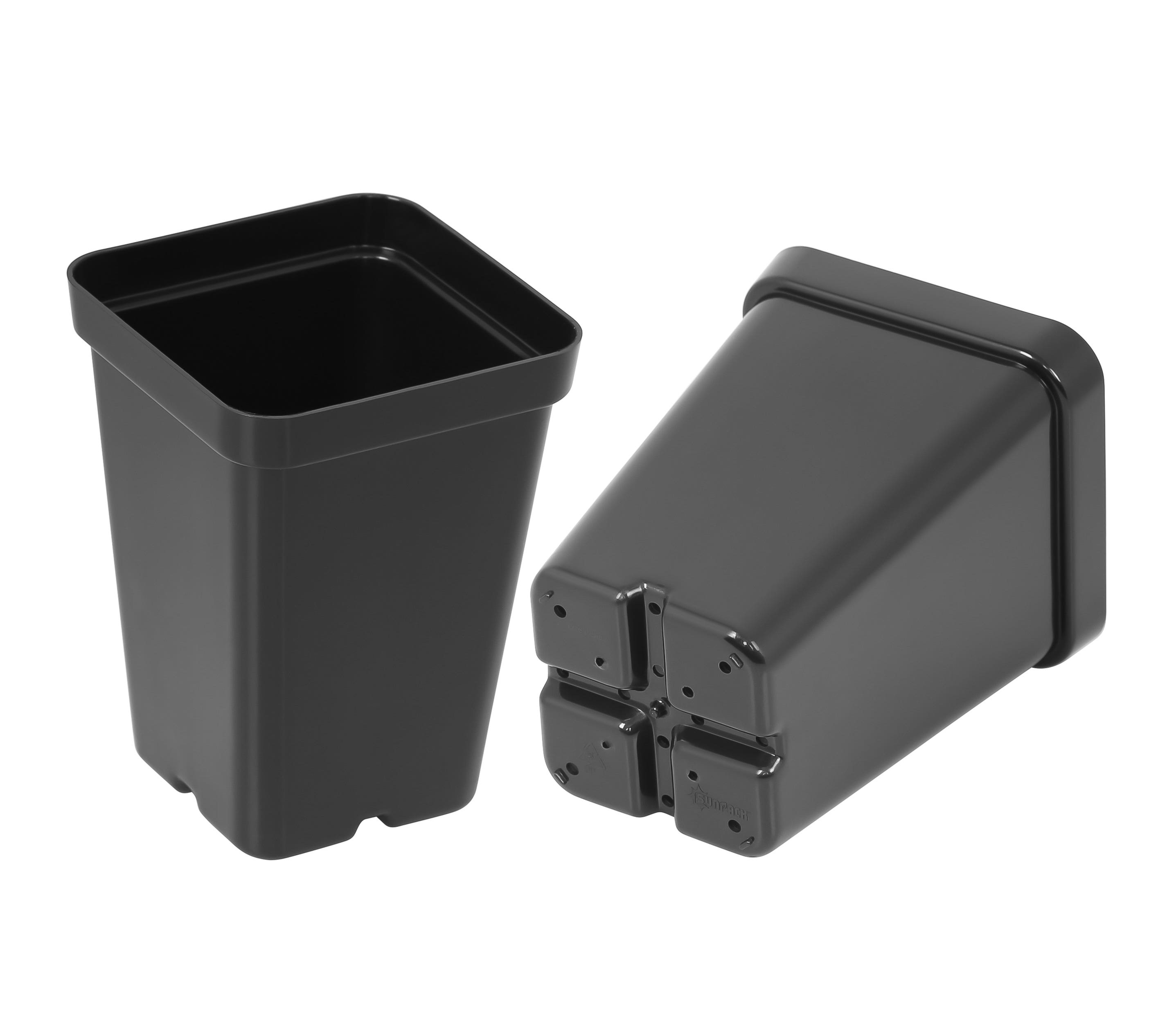 SunPack Square Seed Starting Pot Black 2.5 in