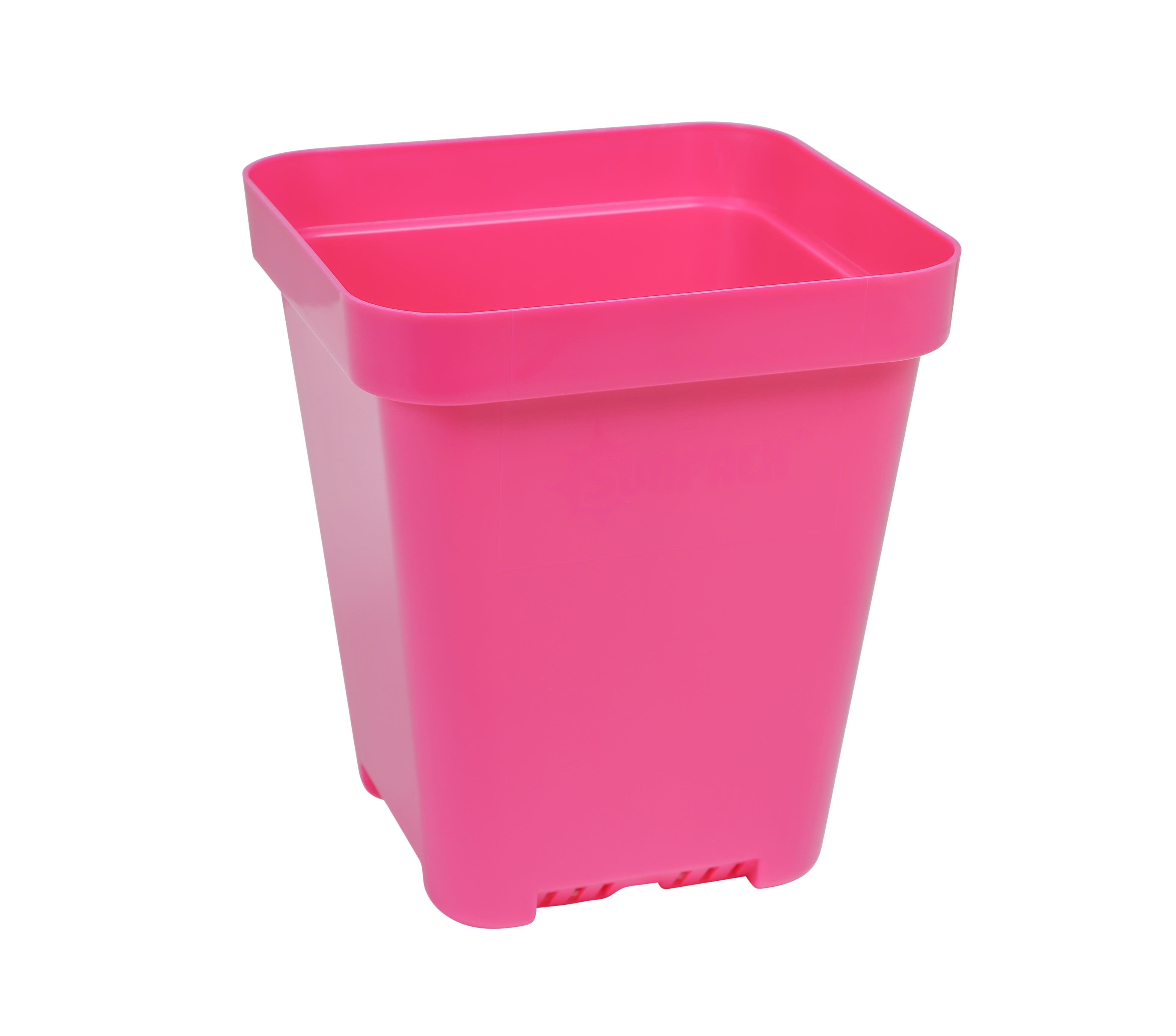 SunPack Square Seed Starting Pot Magenta 5 in