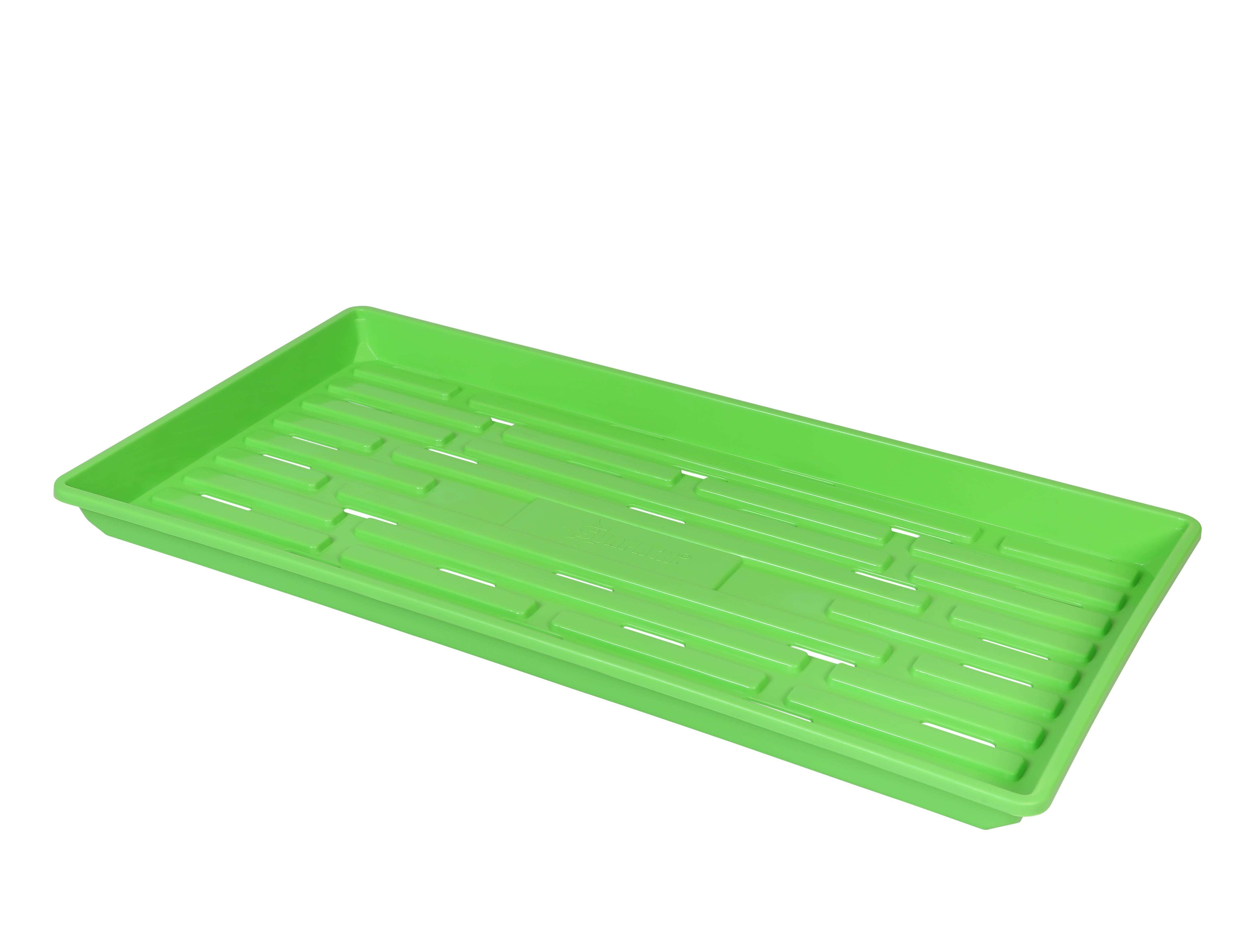 SUNPACK 10 x 20 in Plastic Seed Starting Tray, with Holes, Green