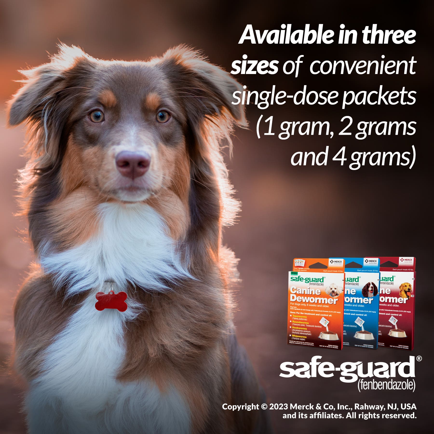 SAFE-GUARD Canine Dewormer 4g