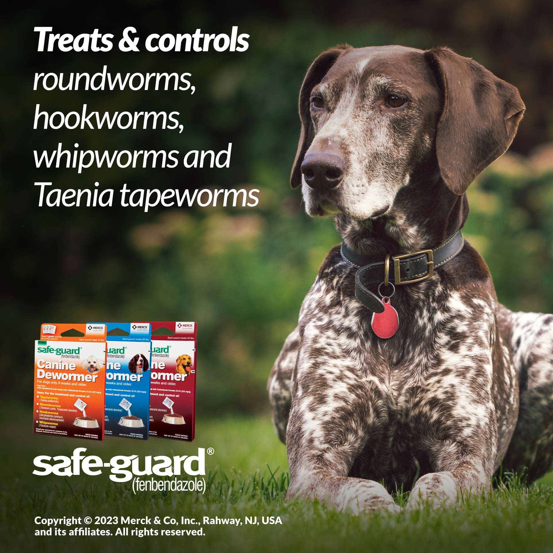 SAFE-GUARD Canine Dewormer 4g