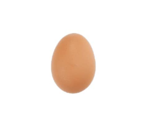 Steel Blue Nova Pullet Chicks