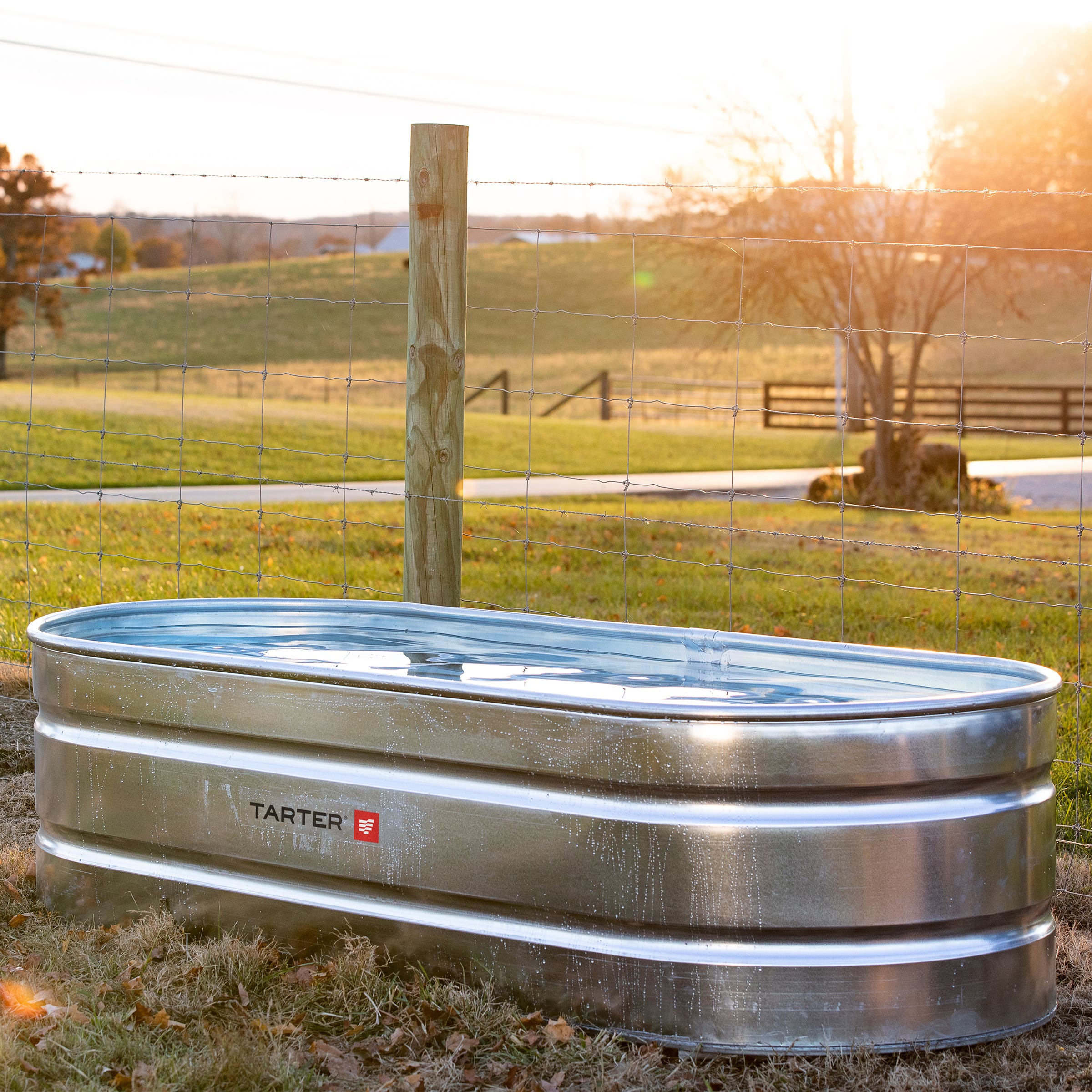 Tarter Oval Mega Stock Tank 300 gal Galvanized Steel