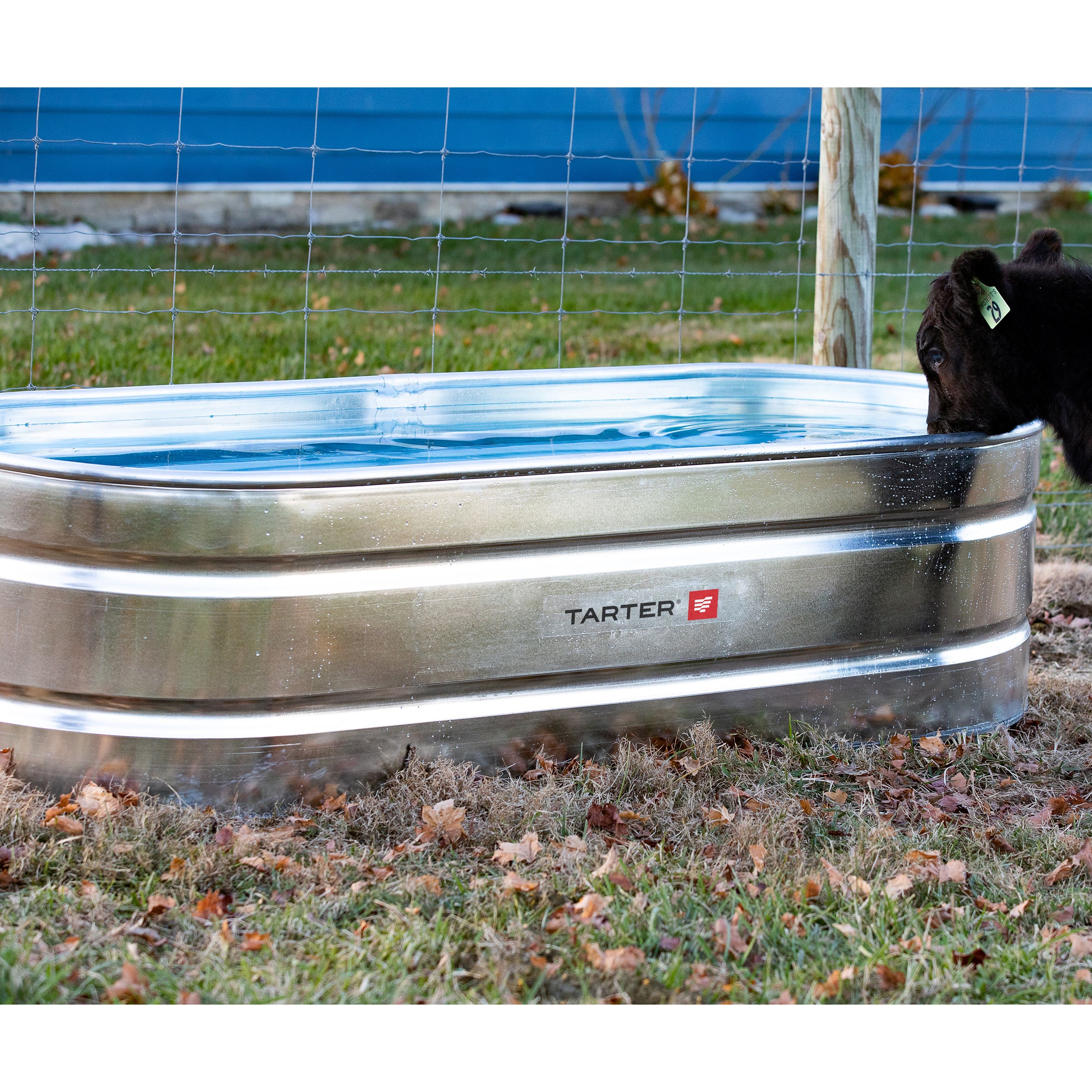 Tarter Oval Mega Stock Tank 300 gal Galvanized Steel