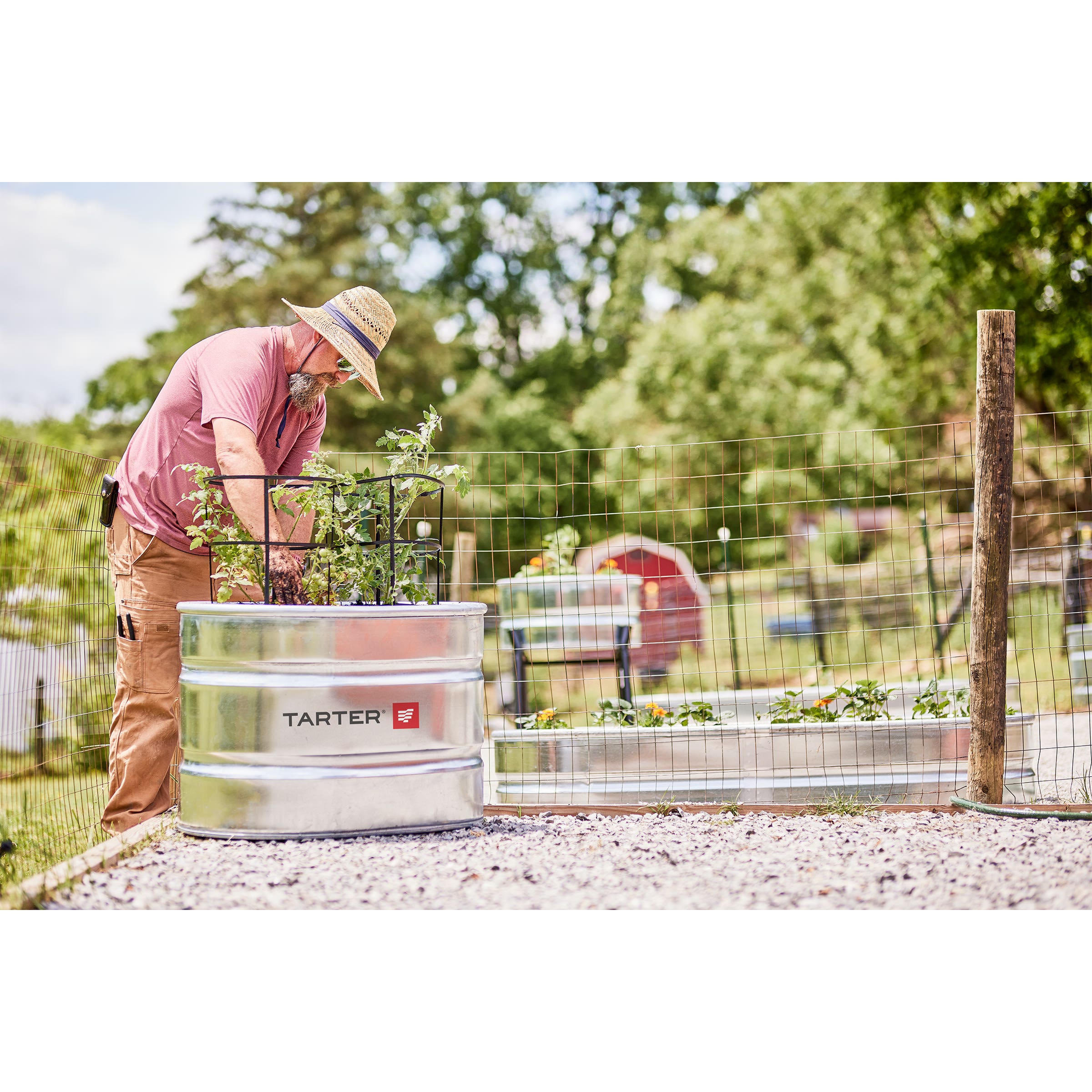 Tarter Oval Dura Tall Stock Tank 70 gal Galvanized Steel
