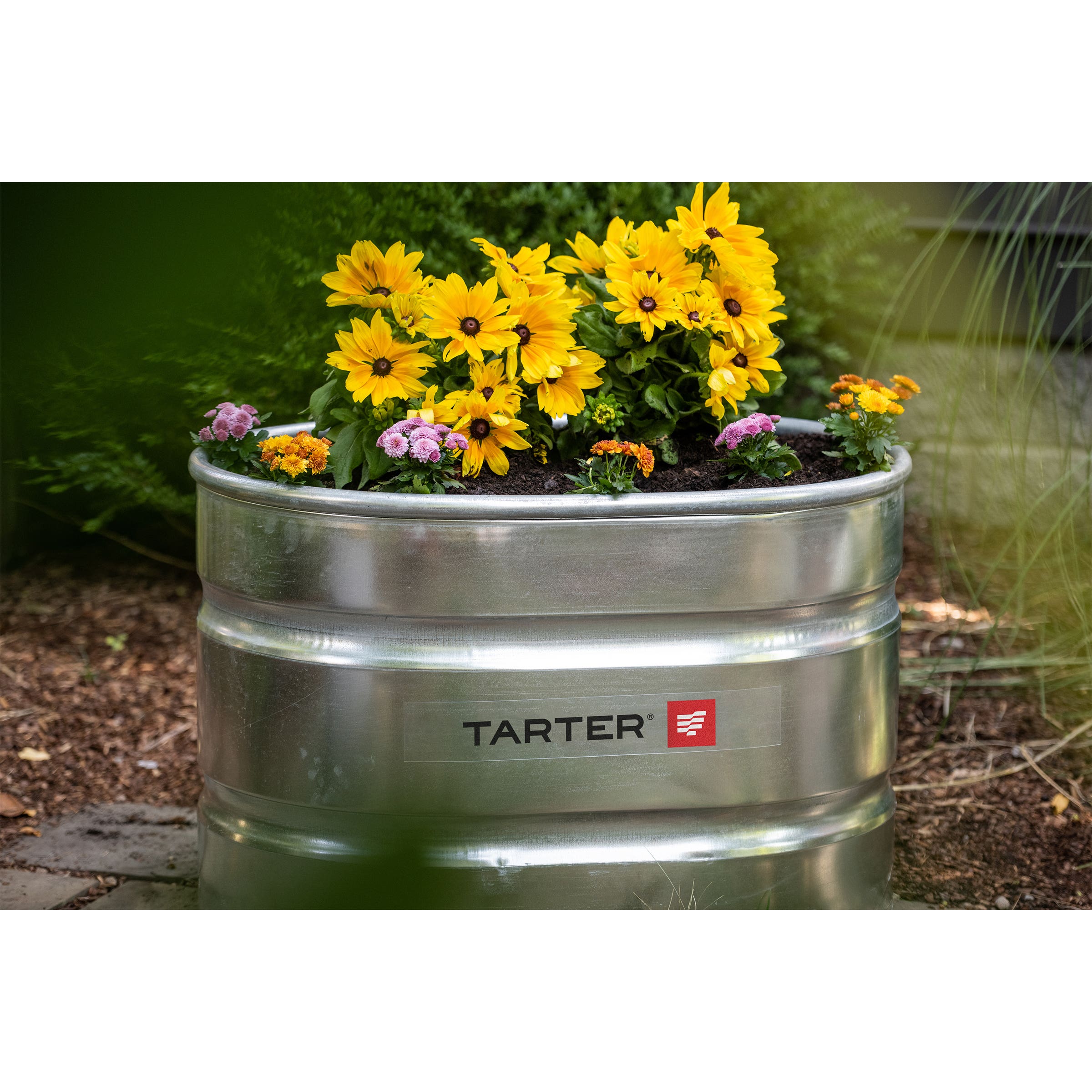 Tarter Oval Dura Tall Stock Tank 70 gal Galvanized Steel
