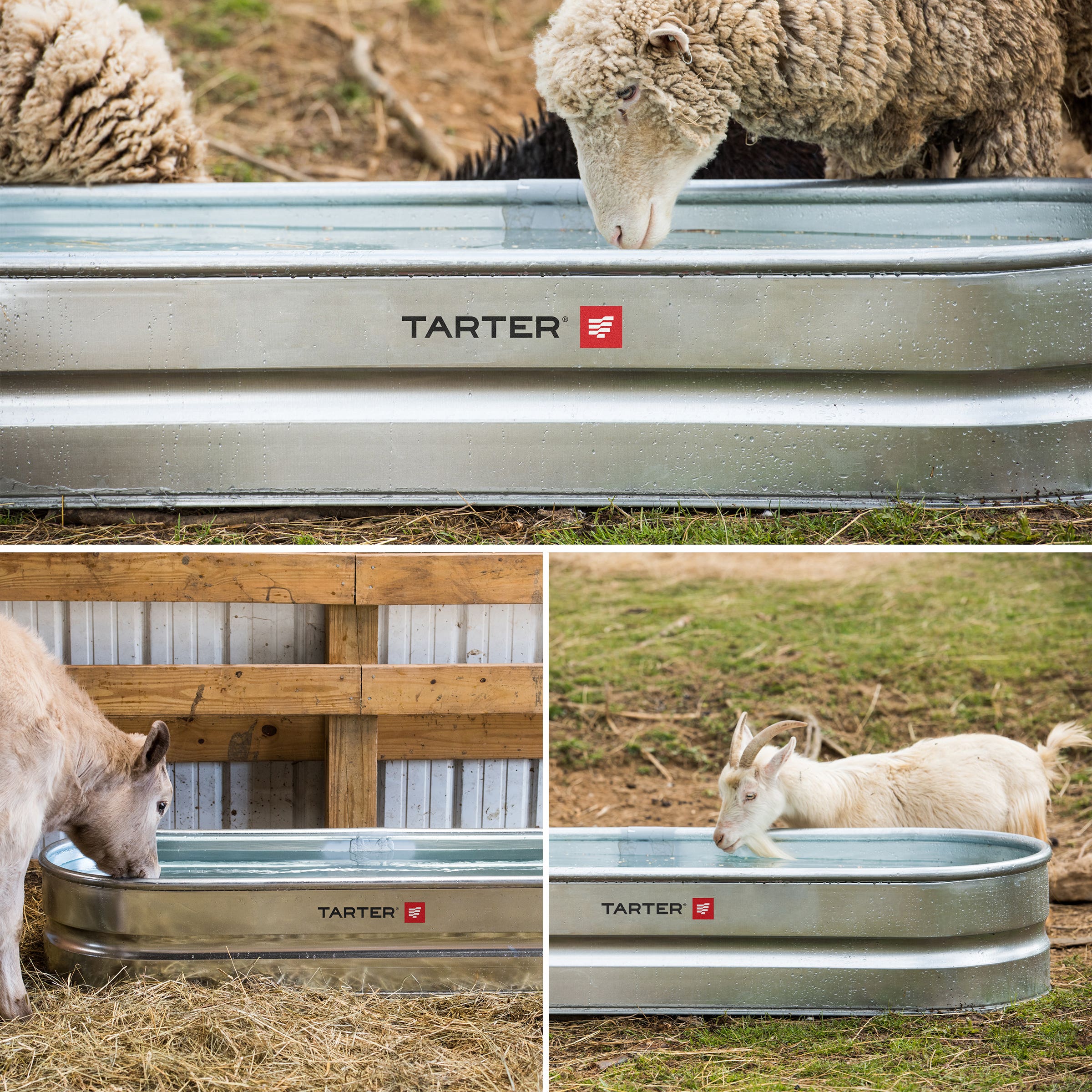 Tarter Oval Dura Stock Tank 70 gal Galvanized Steel