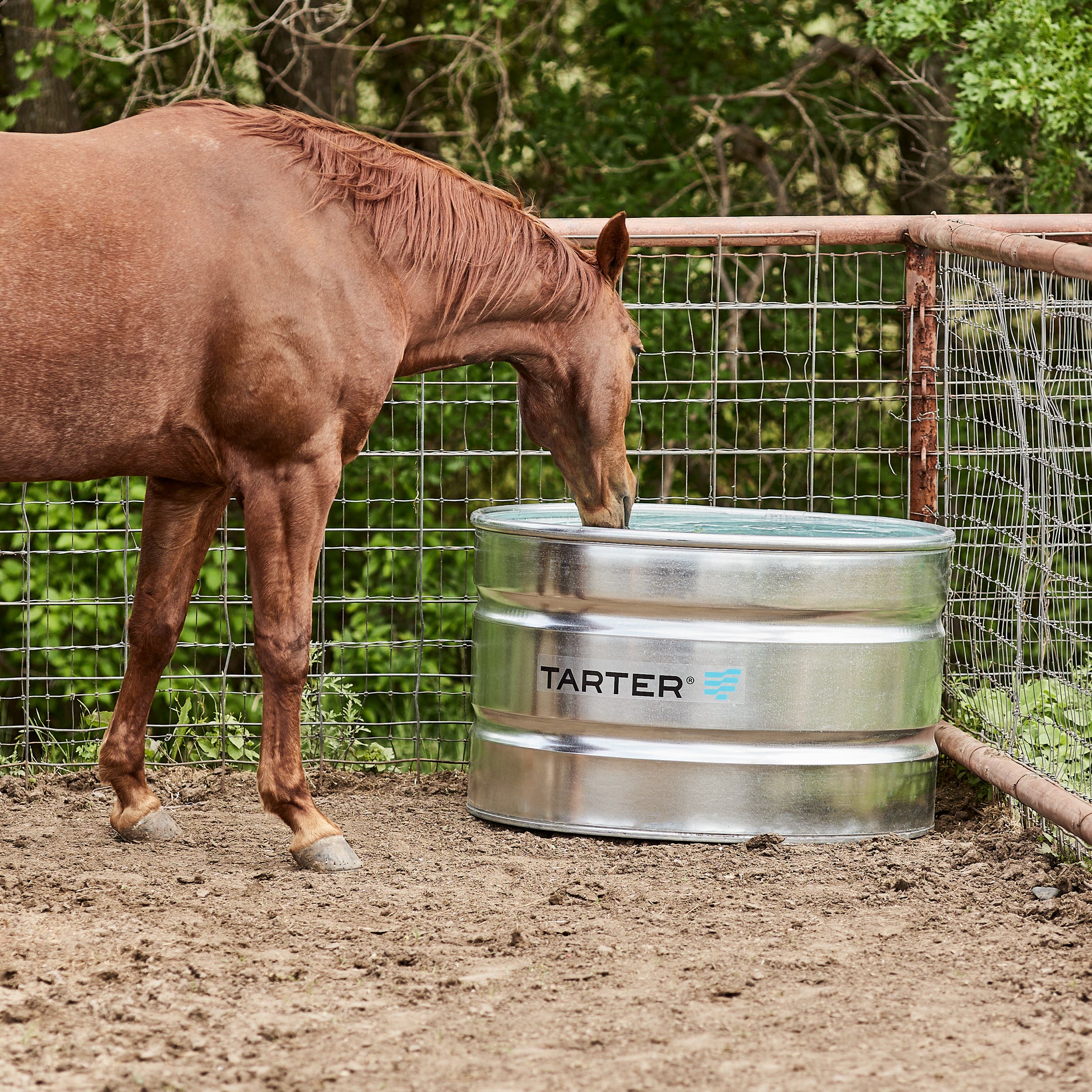 Tarter Round Stock Tank 105 gal Galvanized Steel