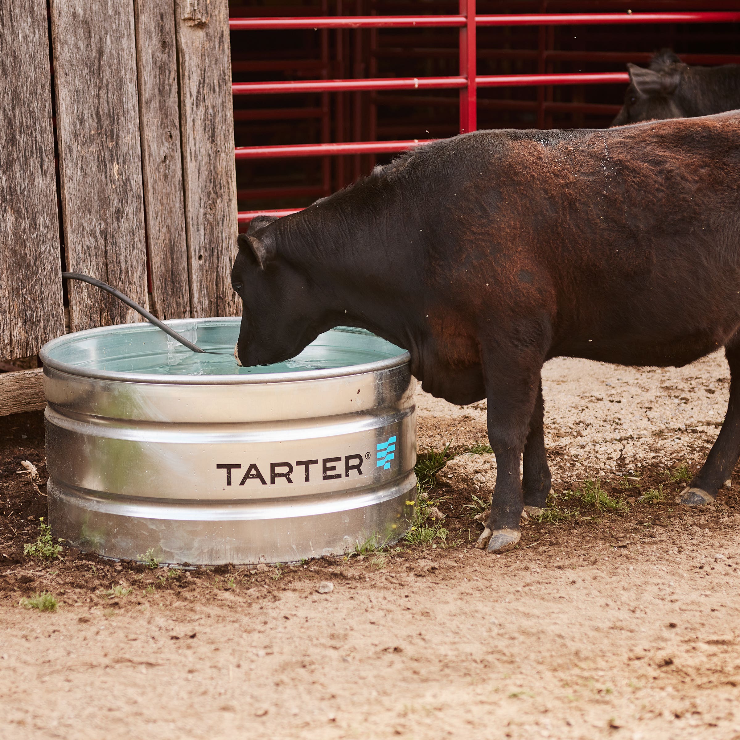Tarter Round Stock Tank – 165 gal, Galvanized Steel