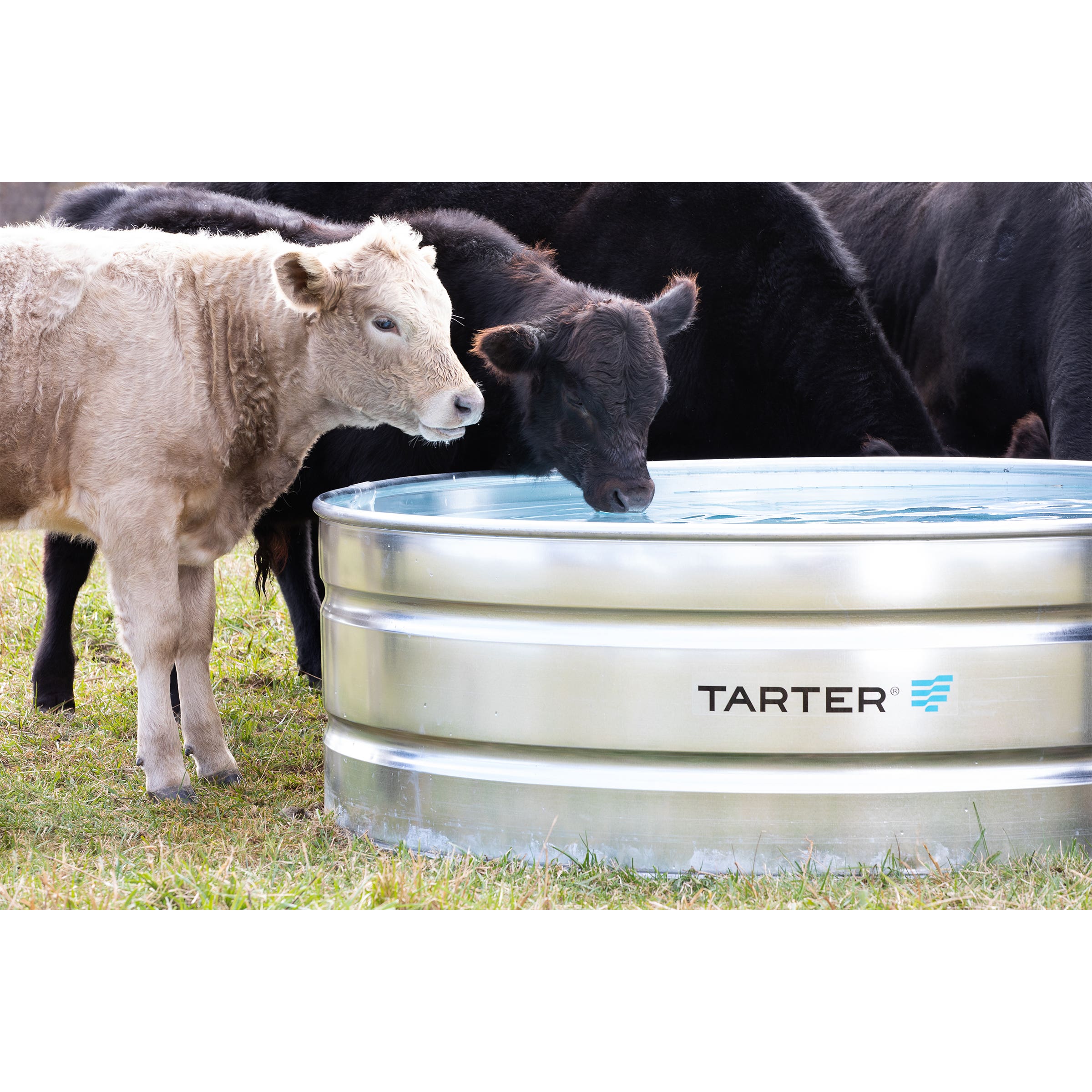 Tarter Round Mega Stock Tank 390 gal Galvanized Steel