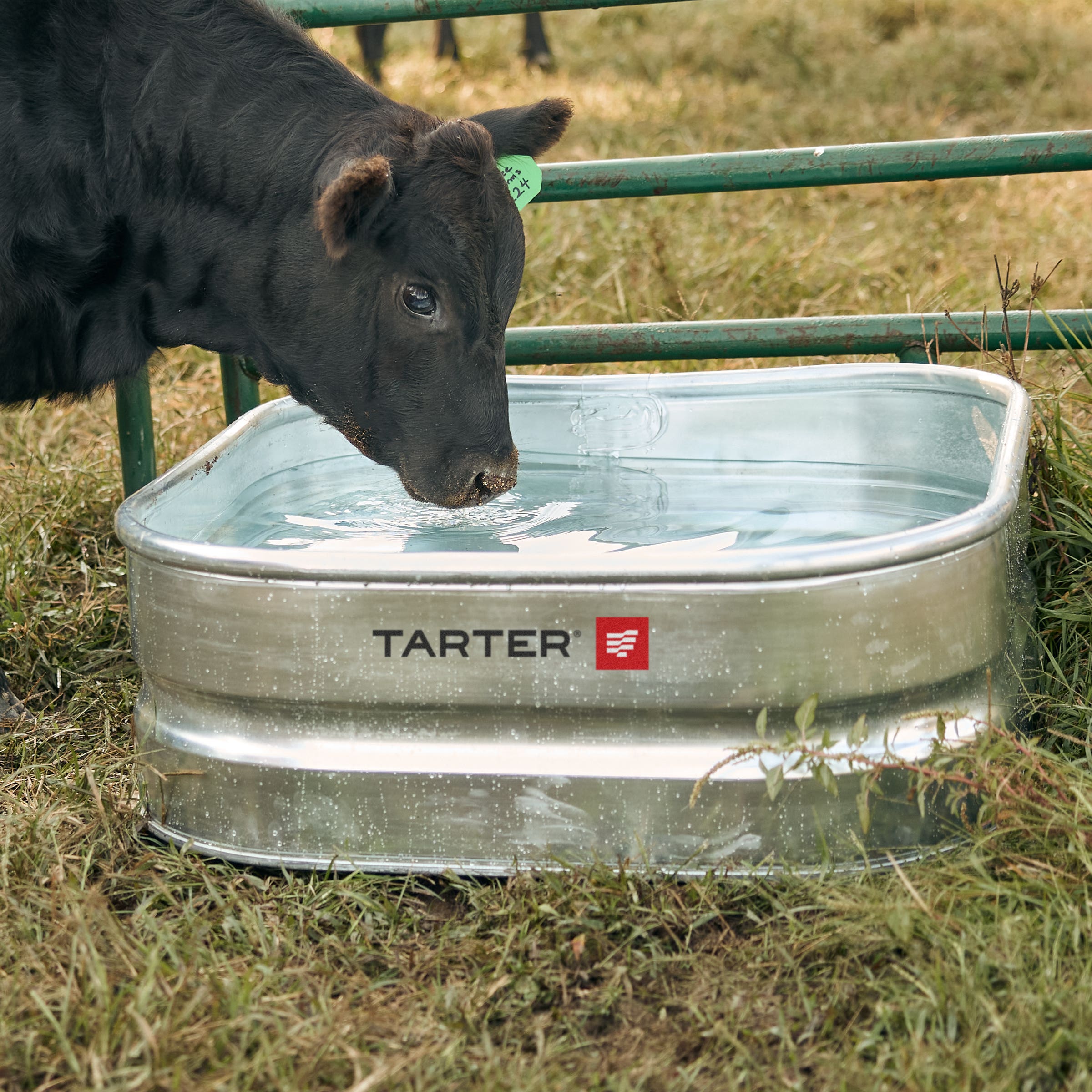 Tarter Square Trough 67 gal Galvanized Steel