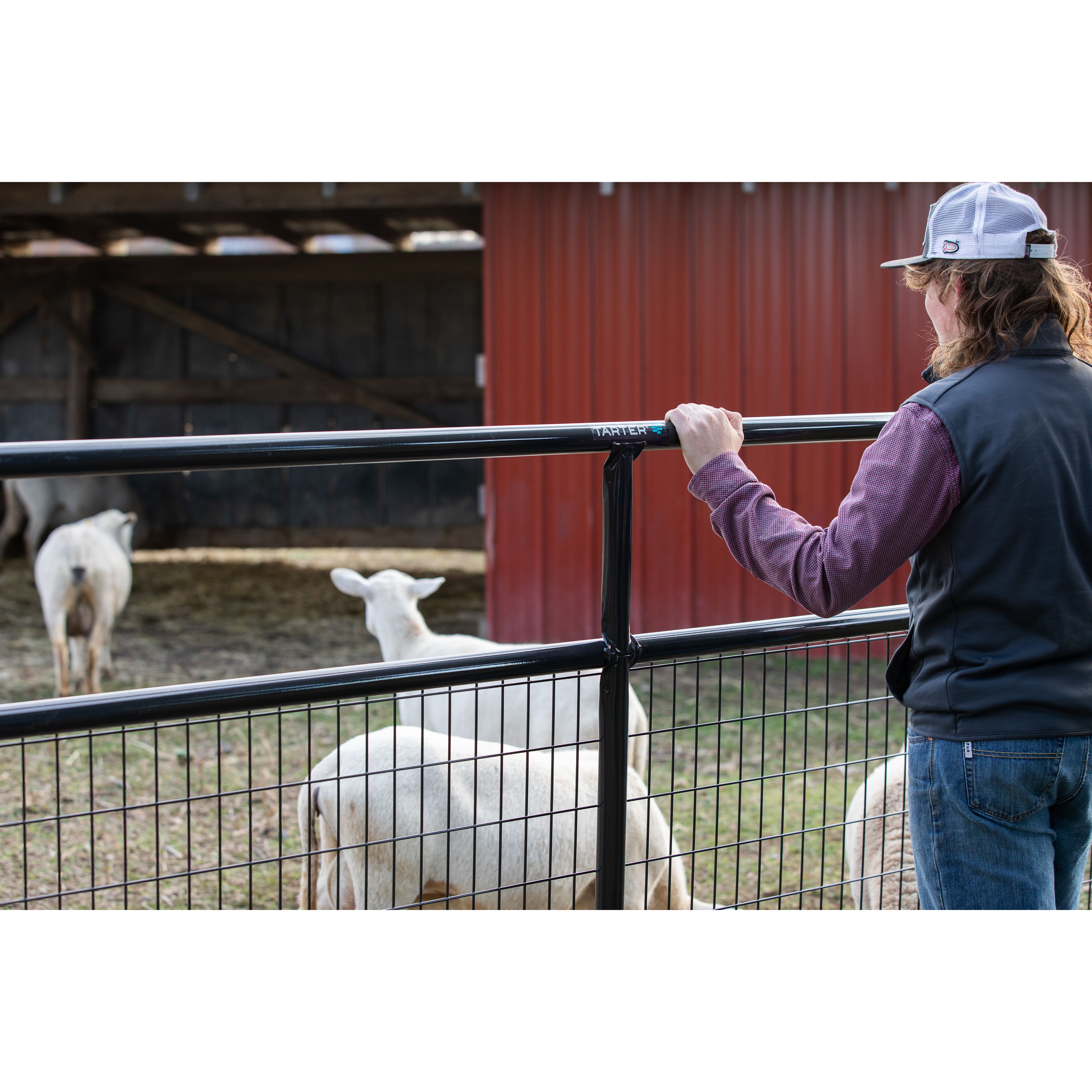Tarter Watchman Wire?Filled Gate 14 ft