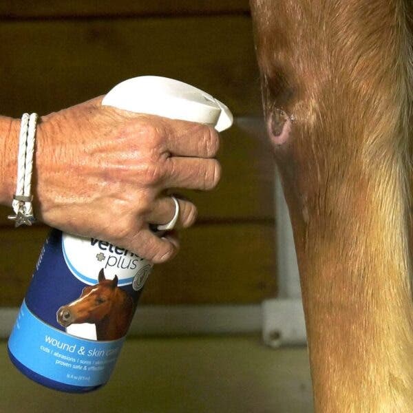 Vetericyn Plus Equine Wound & Skin Care Spray 16 oz