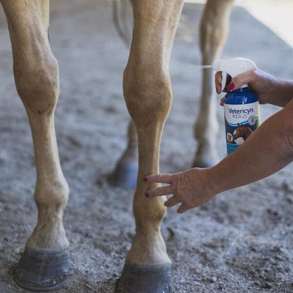 Vetericyn Plus Equine Wound & Skin Care Spray 16 oz