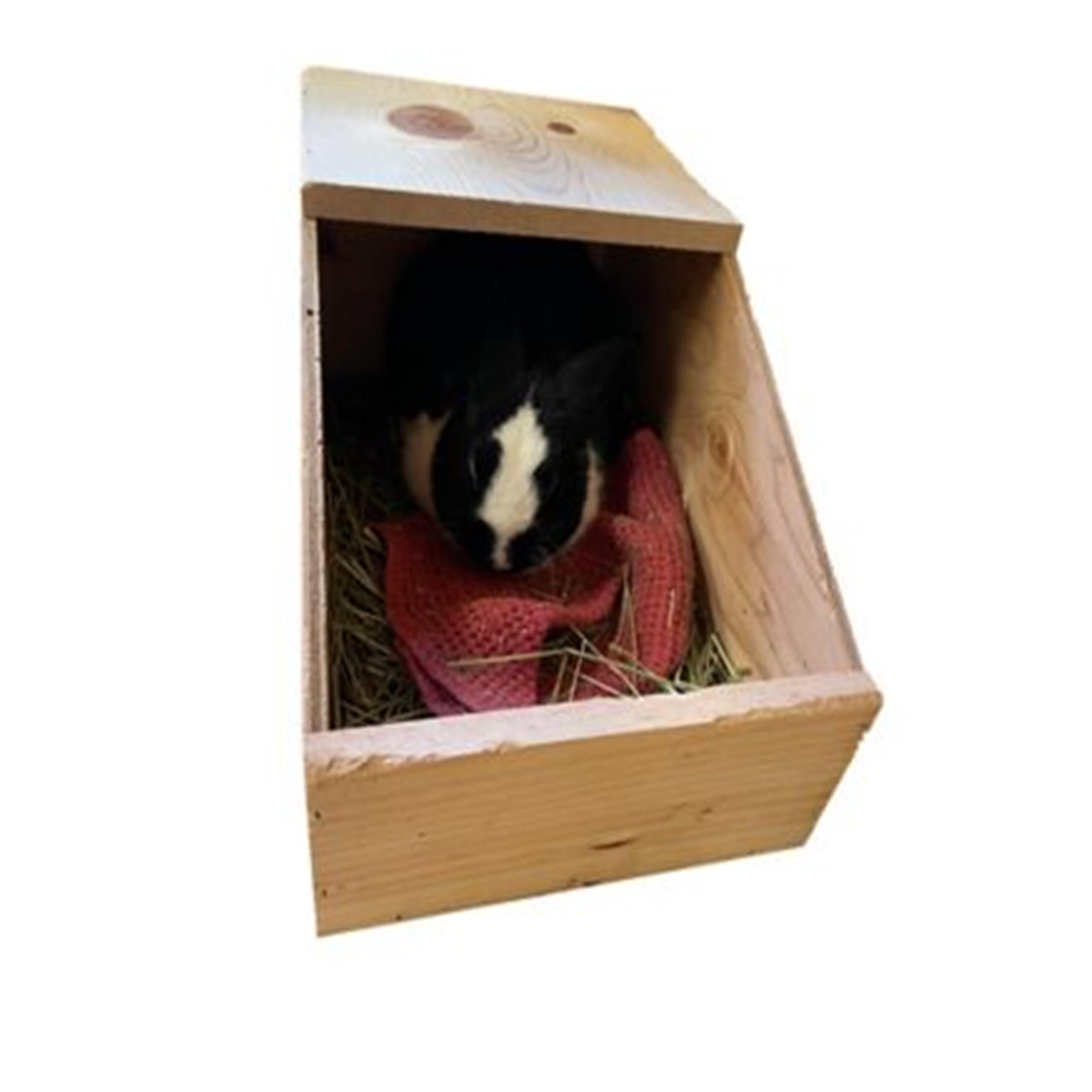 Small Wood Nesting Box