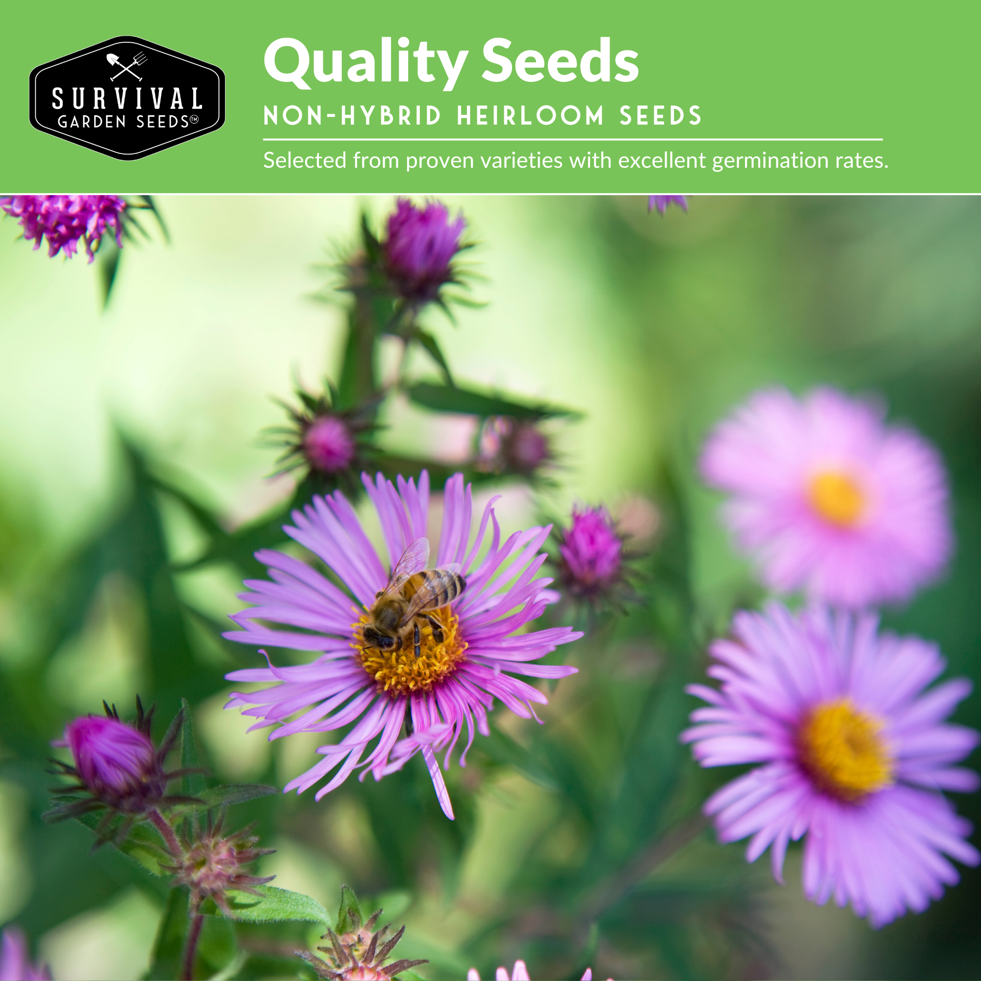 Survival Garden Seeds, Native Habitat Seed Collection, 24 Native Wildflowers & Grasses for Pollinators, Meadows & Low-Maintenance Landscapes
