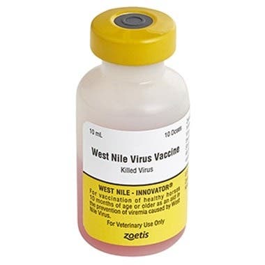 Zoetis West Nile-Innovator Vaccine, 1ds