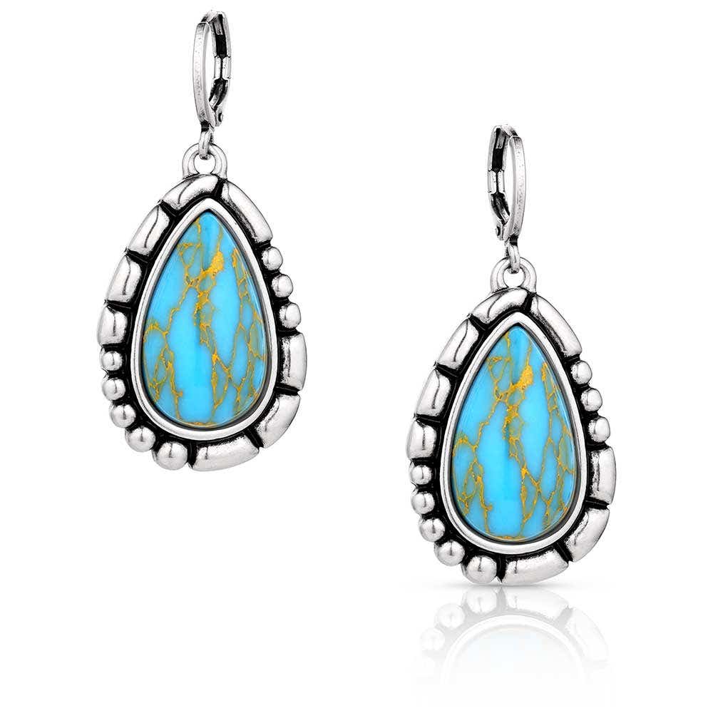 Montana Silversmiths Prickly Pear Turquoise Earrings