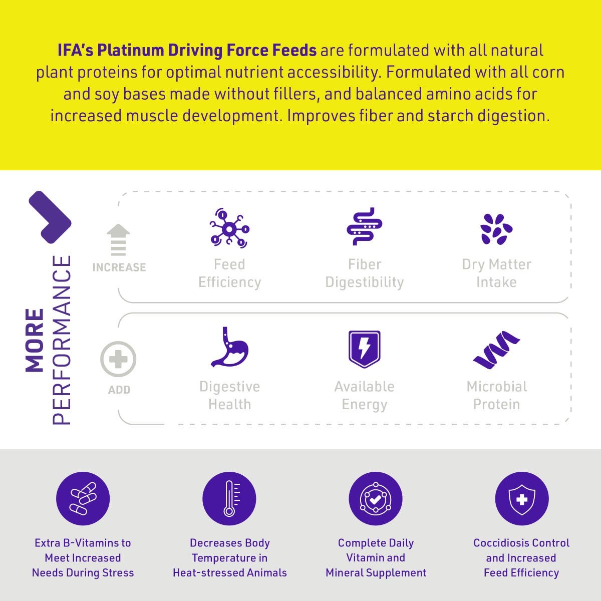 IFA Platinum Show Driving Force 'Launch' Pig Feed, Pellet Formula, 50 Lb.