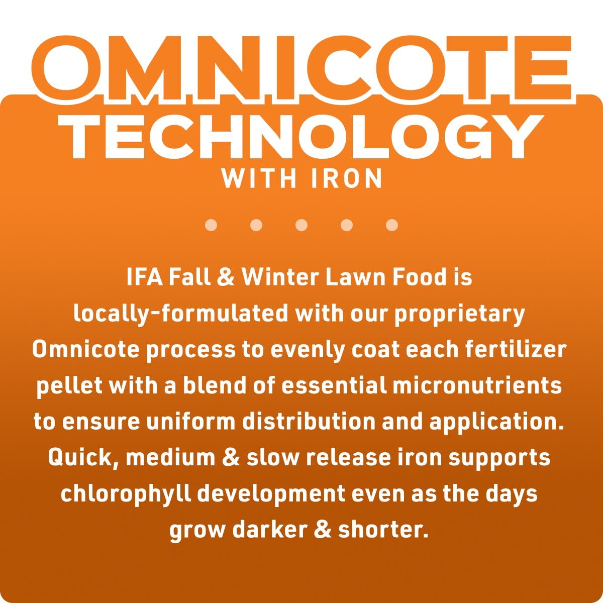 IFA Fall & Winter Lawn Fertilizer, Step 4 of IFA 4Plus Lawn Care