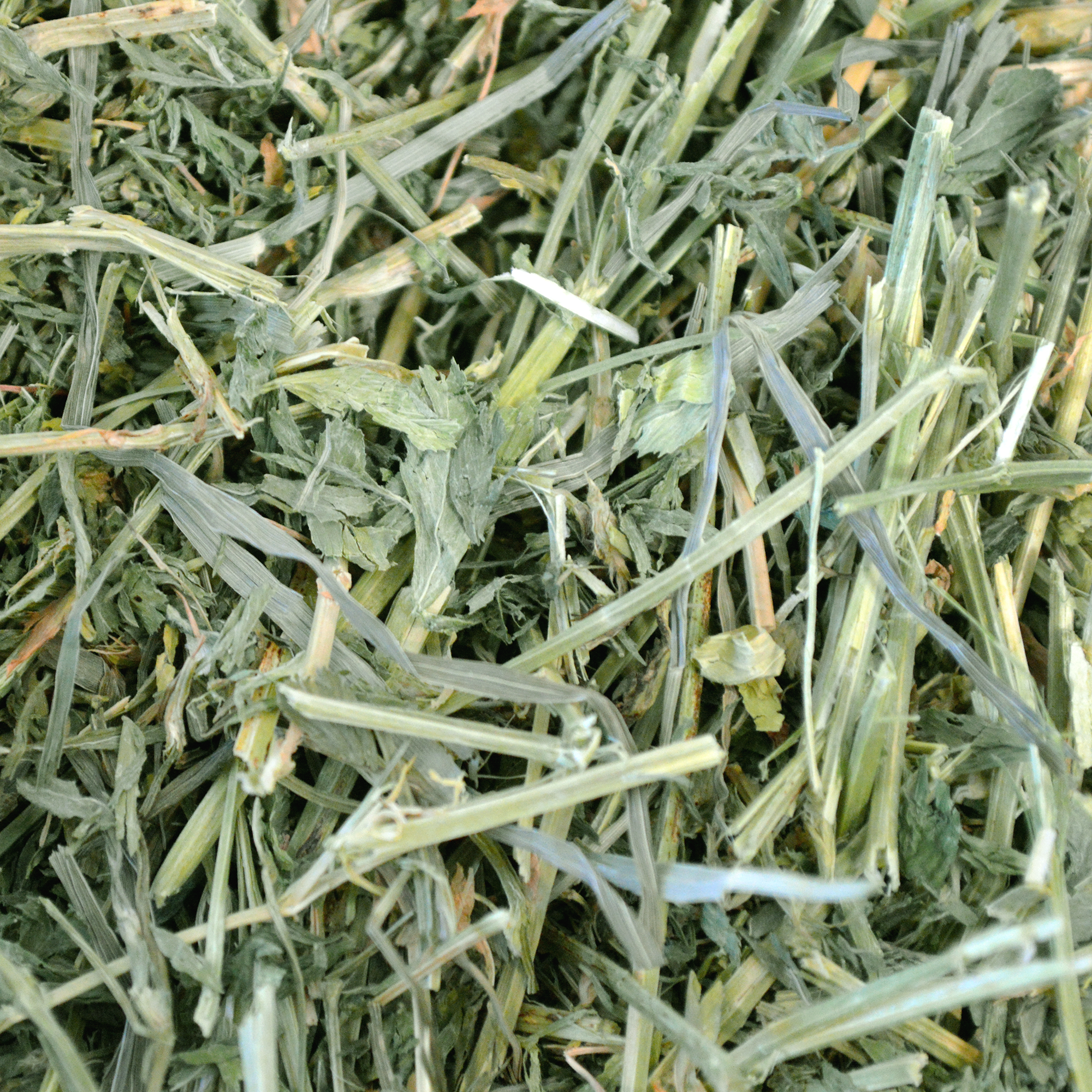 Oxbow Alfalfa Hay Pet Food, Sweet, 15 oz