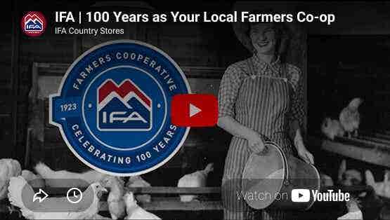 IFA video